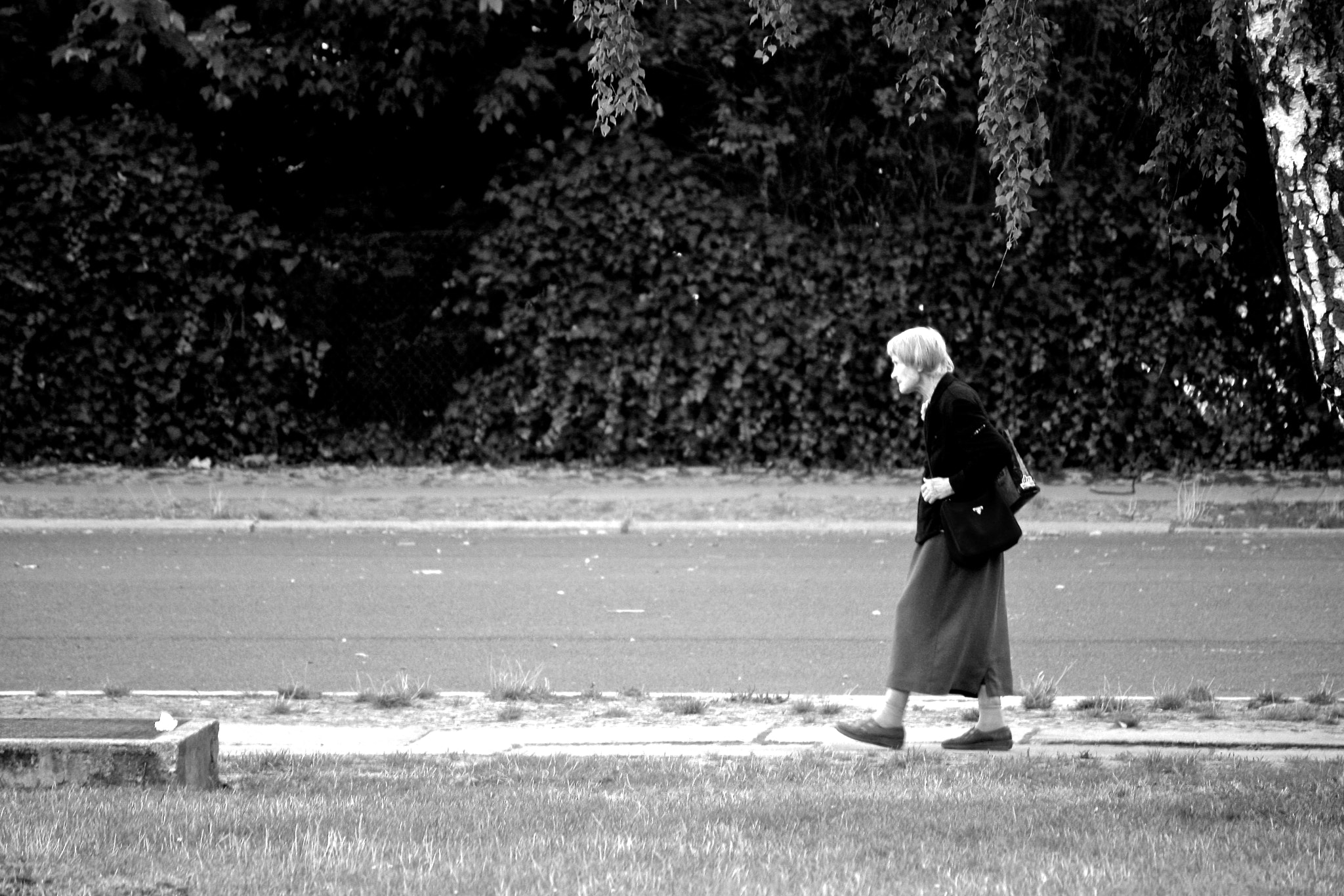 Canon EOS 40D sample photo. Life is a long way photography