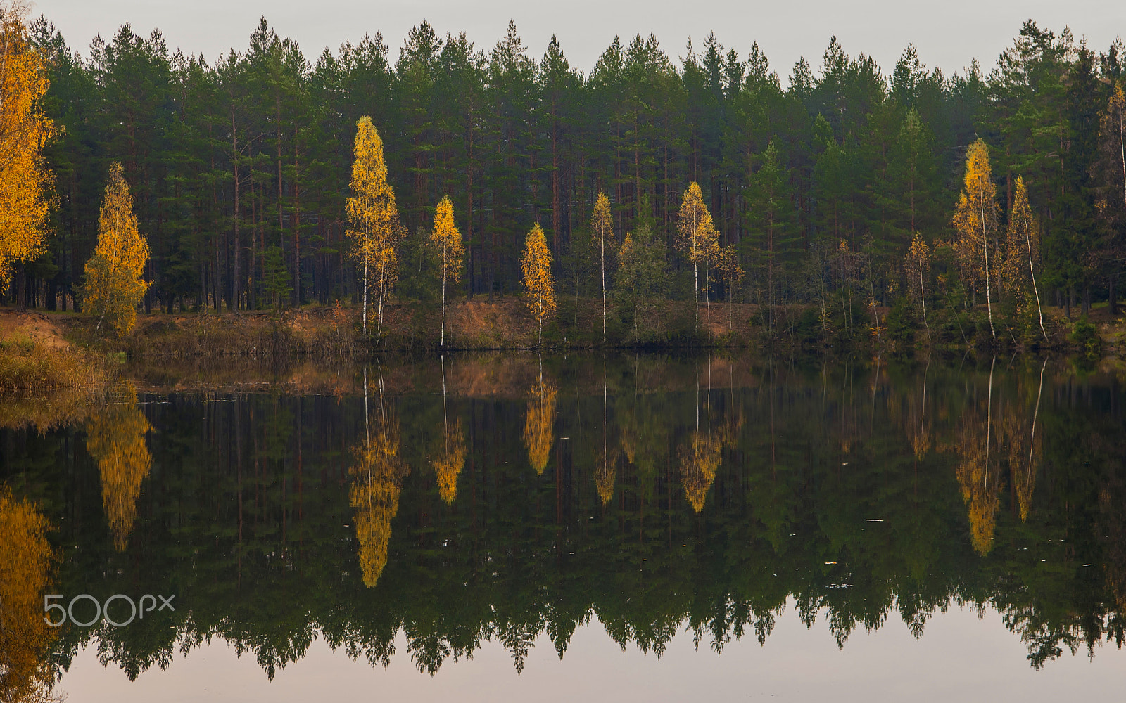 Nikon D70 sample photo. Forest lake 2. photography