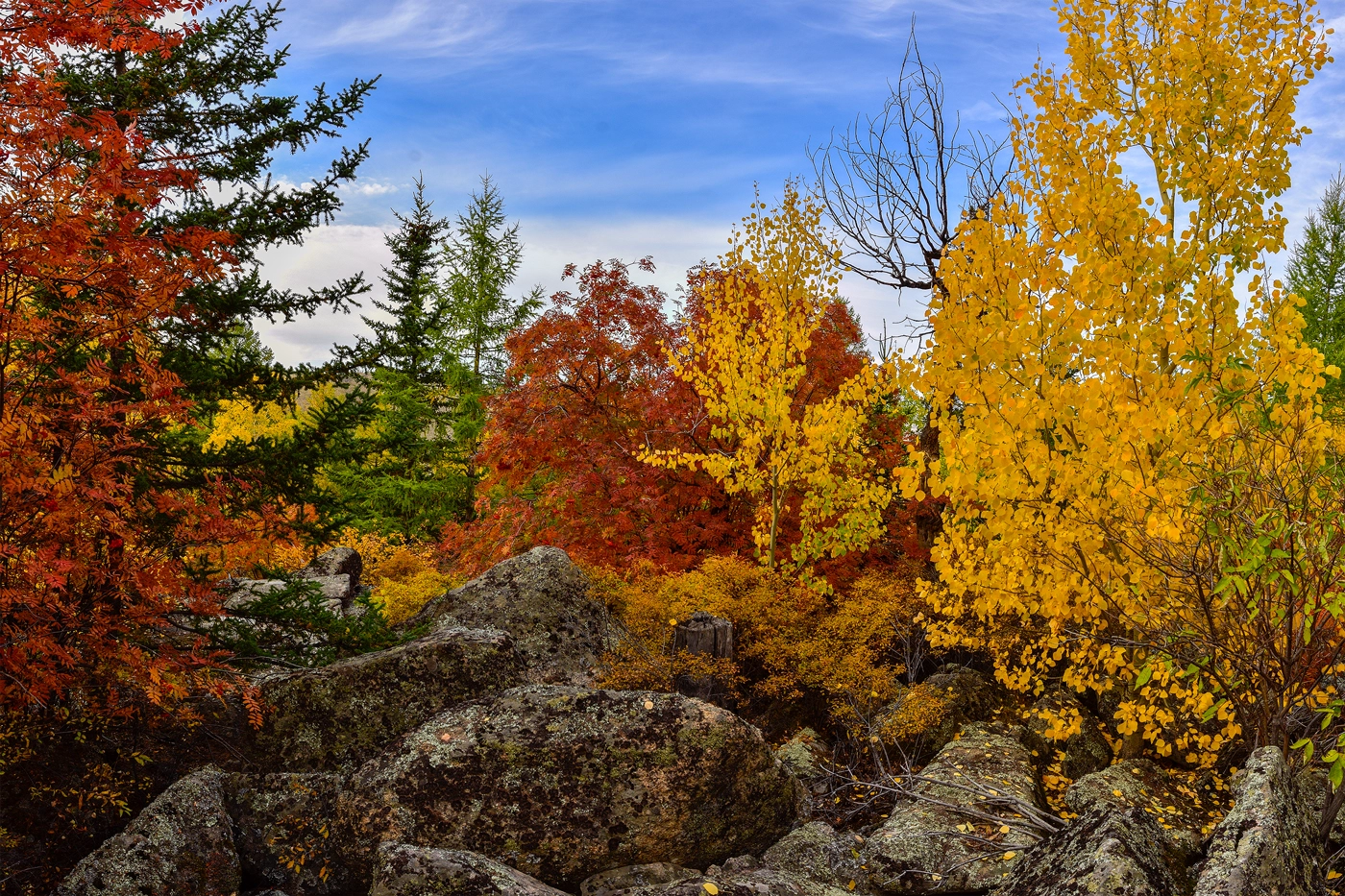Nikon AF-S Nikkor 14-24mm F2.8G ED sample photo. Autumn color photography