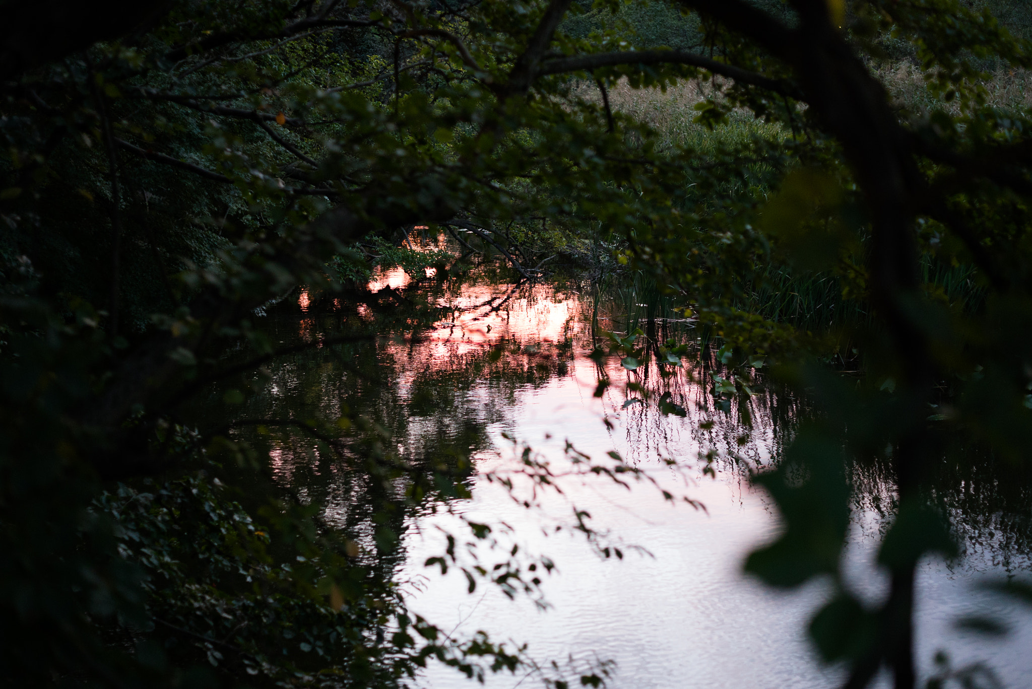 E 50mm F2 sample photo. Dsc photography