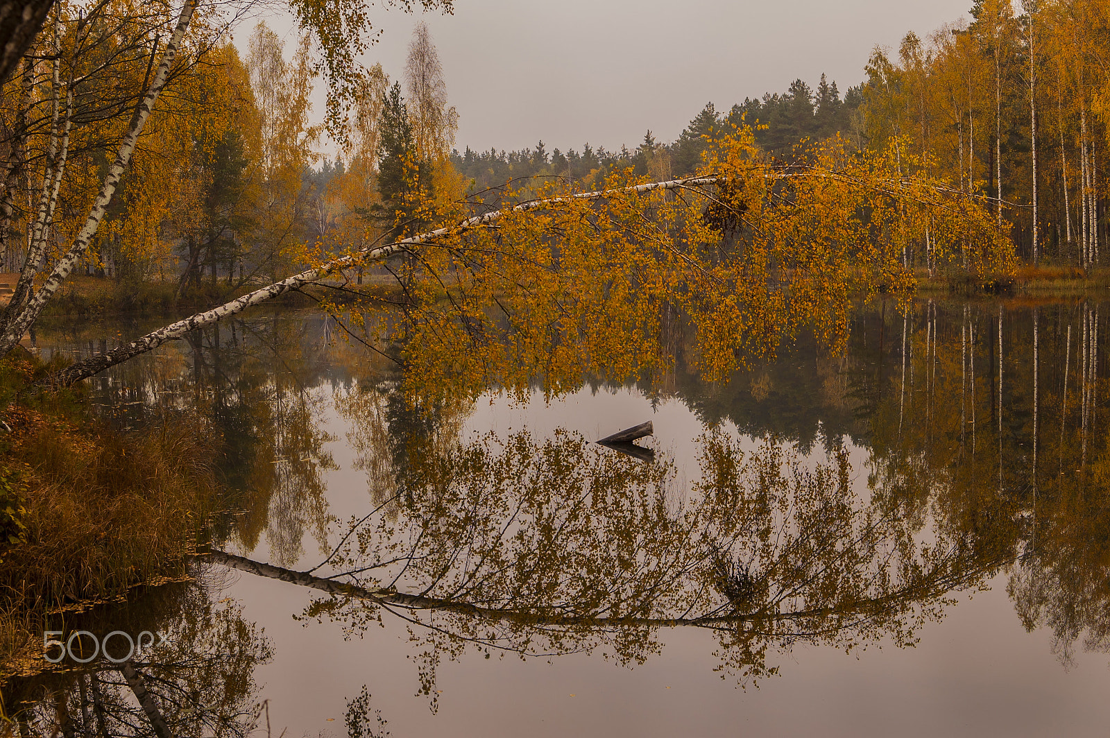 Nikon D70 sample photo. Forest lake 3. photography