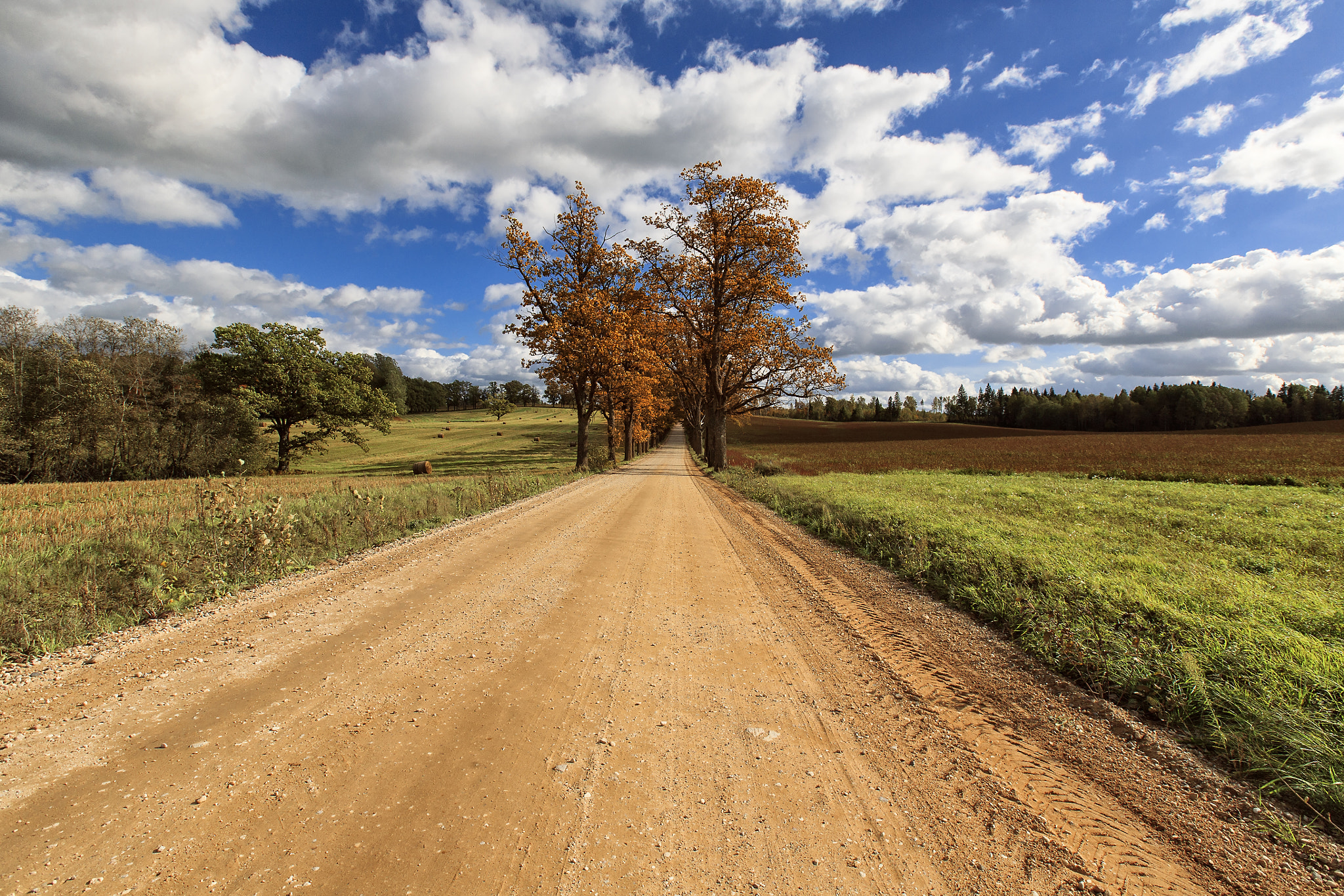 Canon EF 16-35mm F2.8L II USM sample photo. 1okt2016 photography