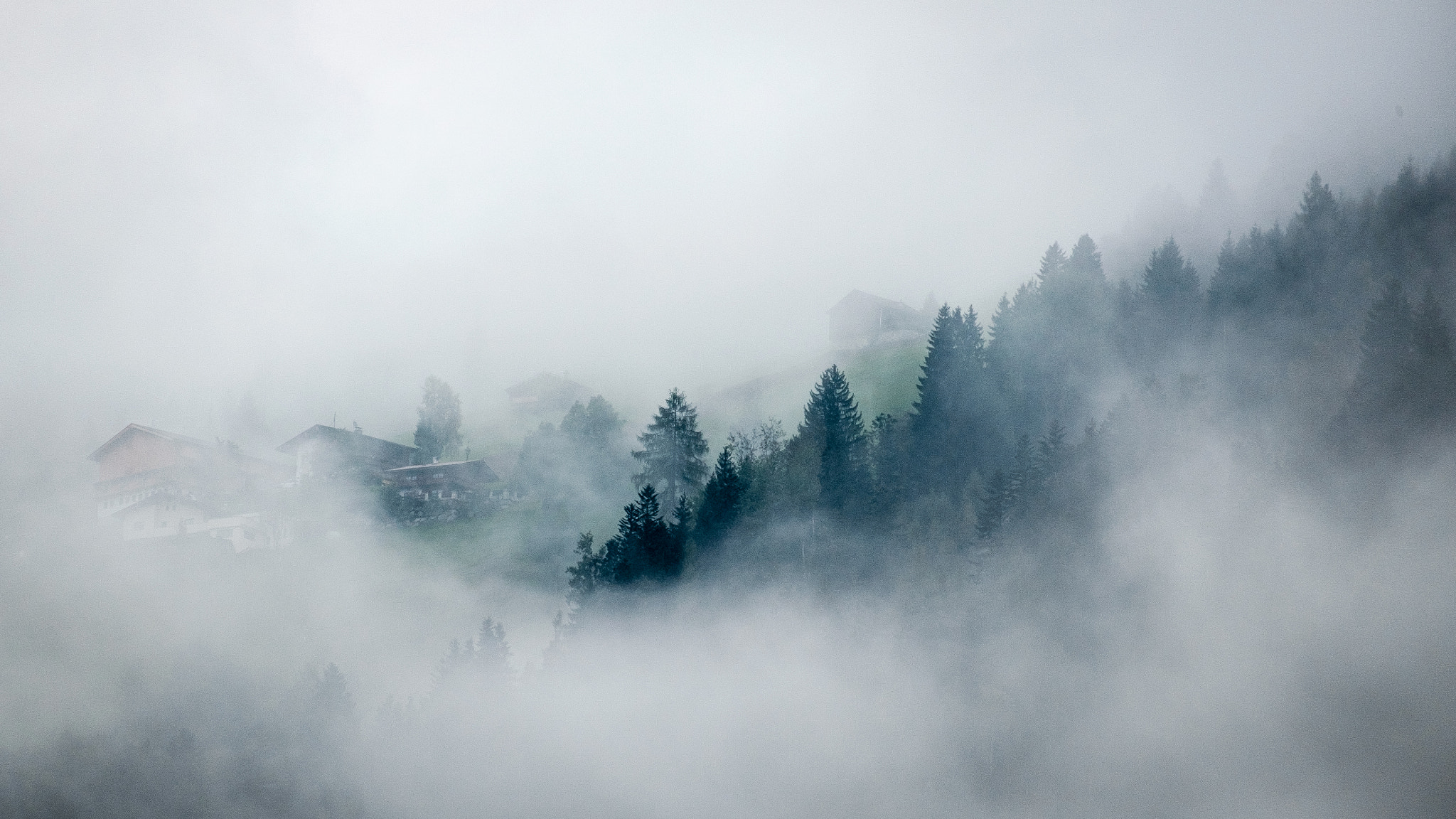 Fujifilm X-E2 + Fujifilm XC 50-230mm F4.5-6.7 OIS sample photo. Mist in trees. photography