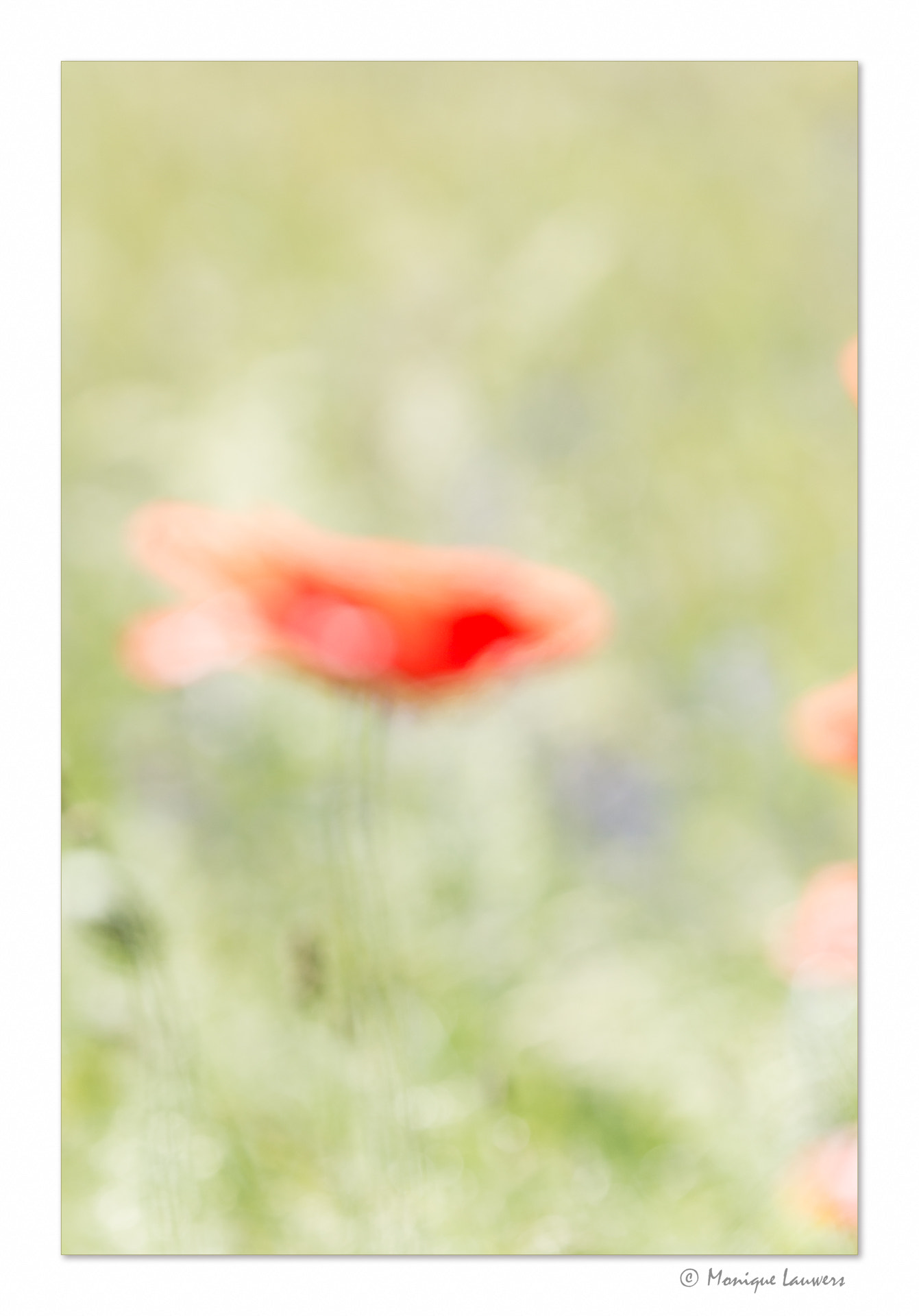 Nikon D600 sample photo. Dreaming photography