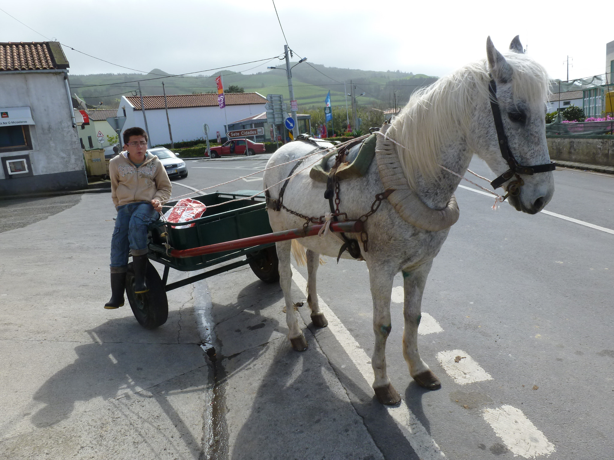 Panasonic Lumix DMC-ZS8 (Lumix DMC-TZ18) sample photo. My horse photography