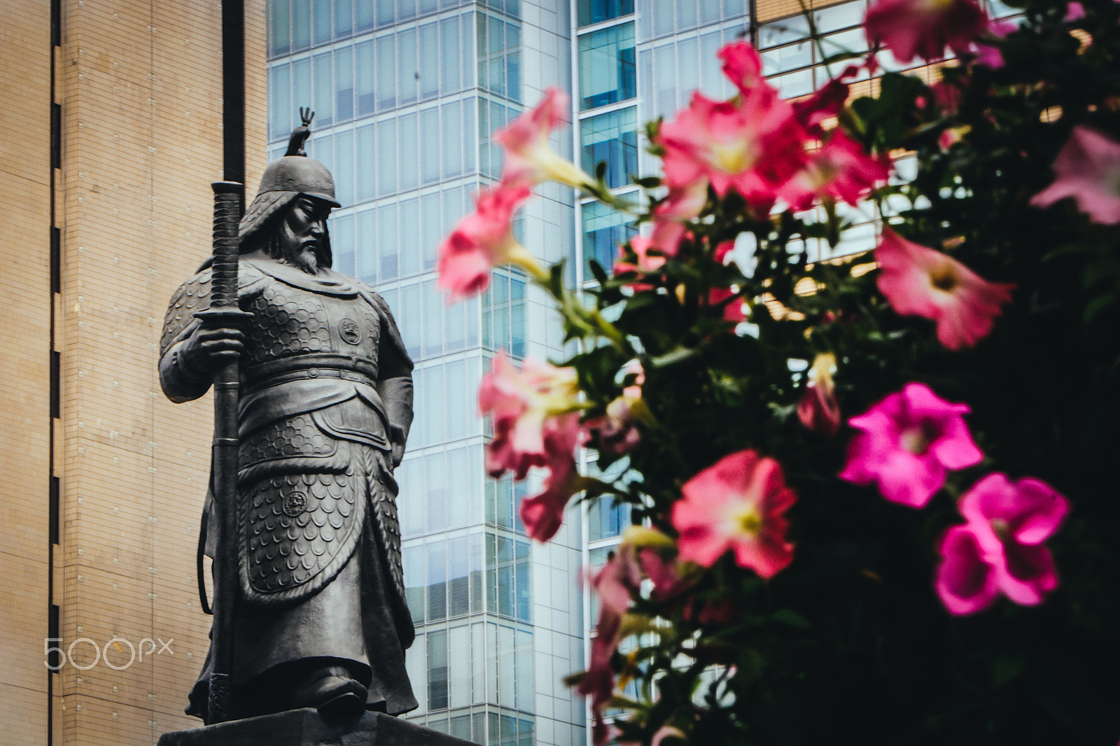 Canon EF 70-200mm F2.8L IS USM sample photo. Nature of seoul photography
