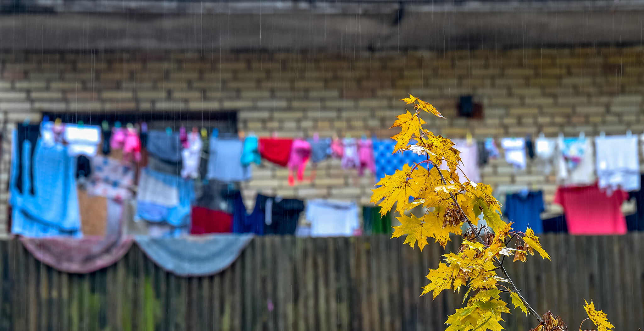 Tamron SP 70-200mm F2.8 Di VC USD sample photo. Autumn in lithuania photography