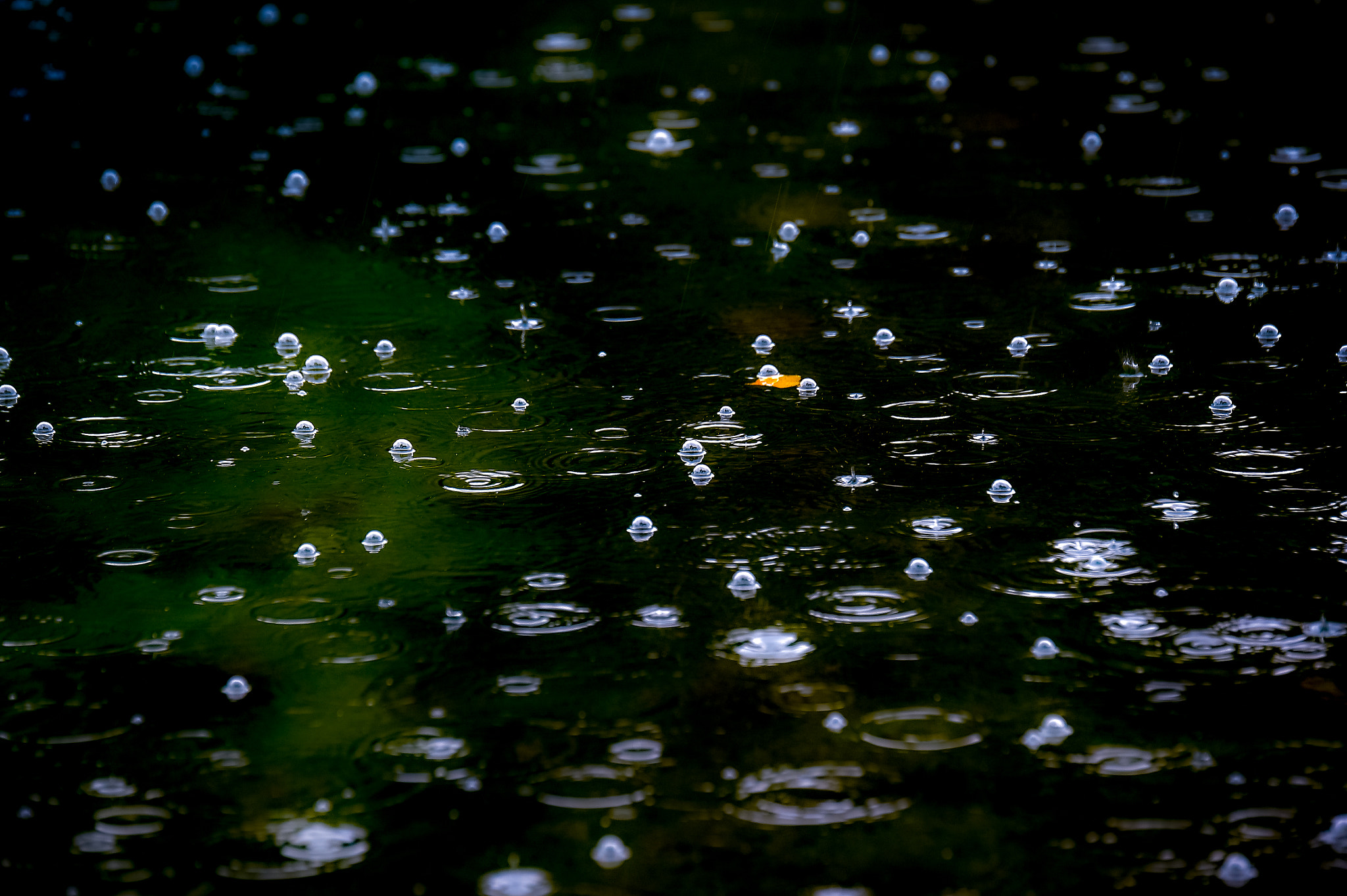 Tamron SP 70-200mm F2.8 Di VC USD sample photo. Autumn in lithuania photography