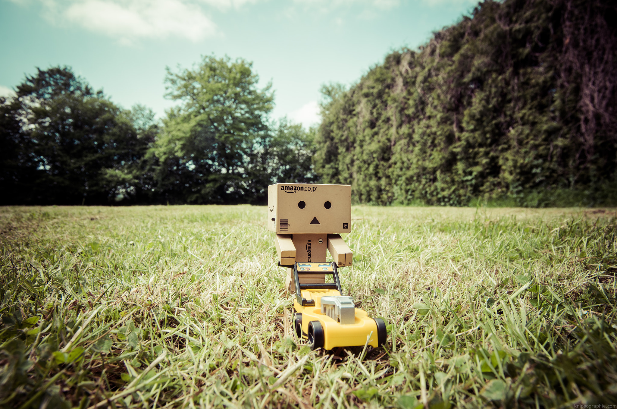Pentax smc DA 16-45mm F4 ED AL sample photo. Garten danbo photography