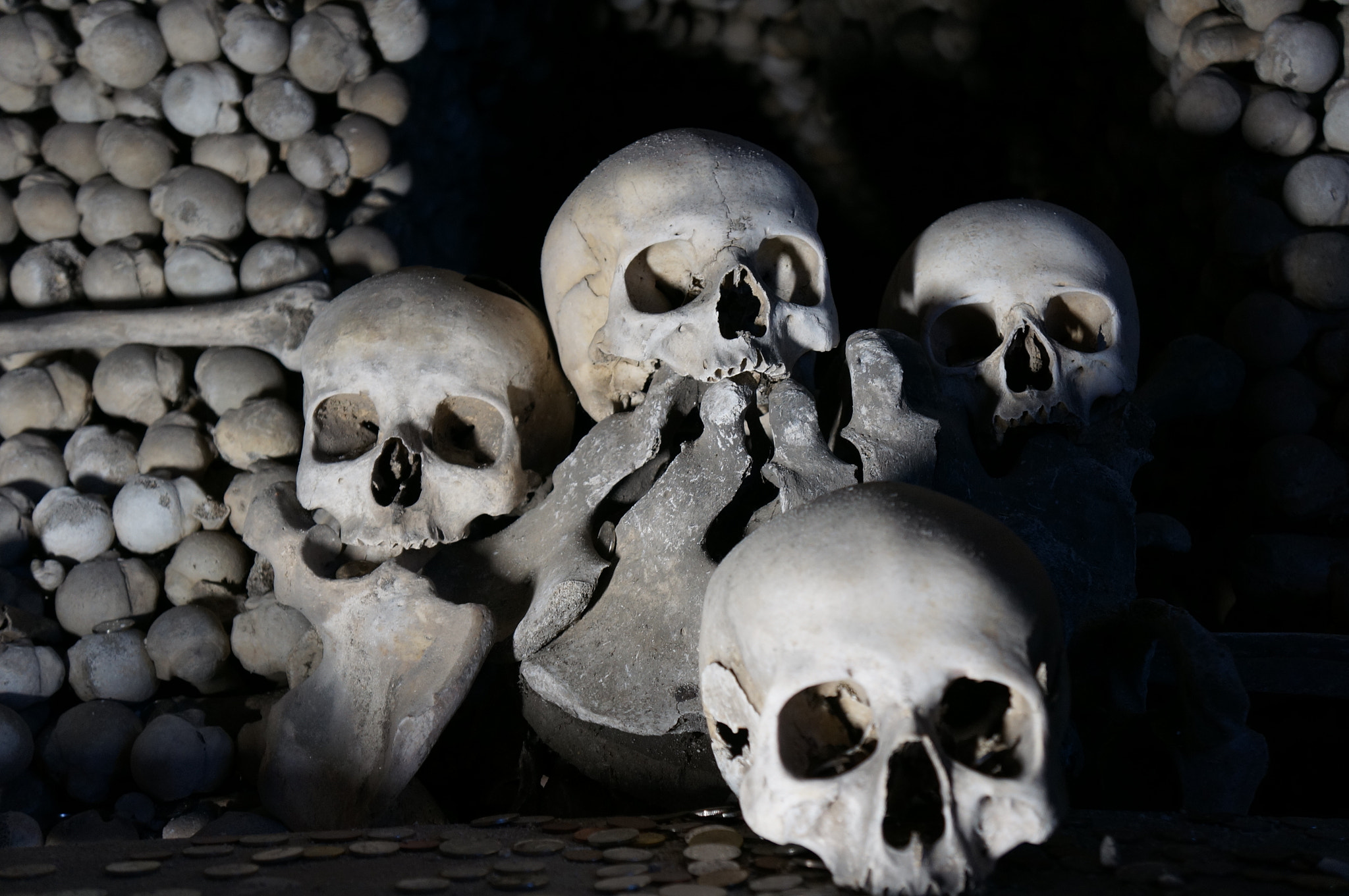 Sony Alpha NEX-5R sample photo. Skulls photography