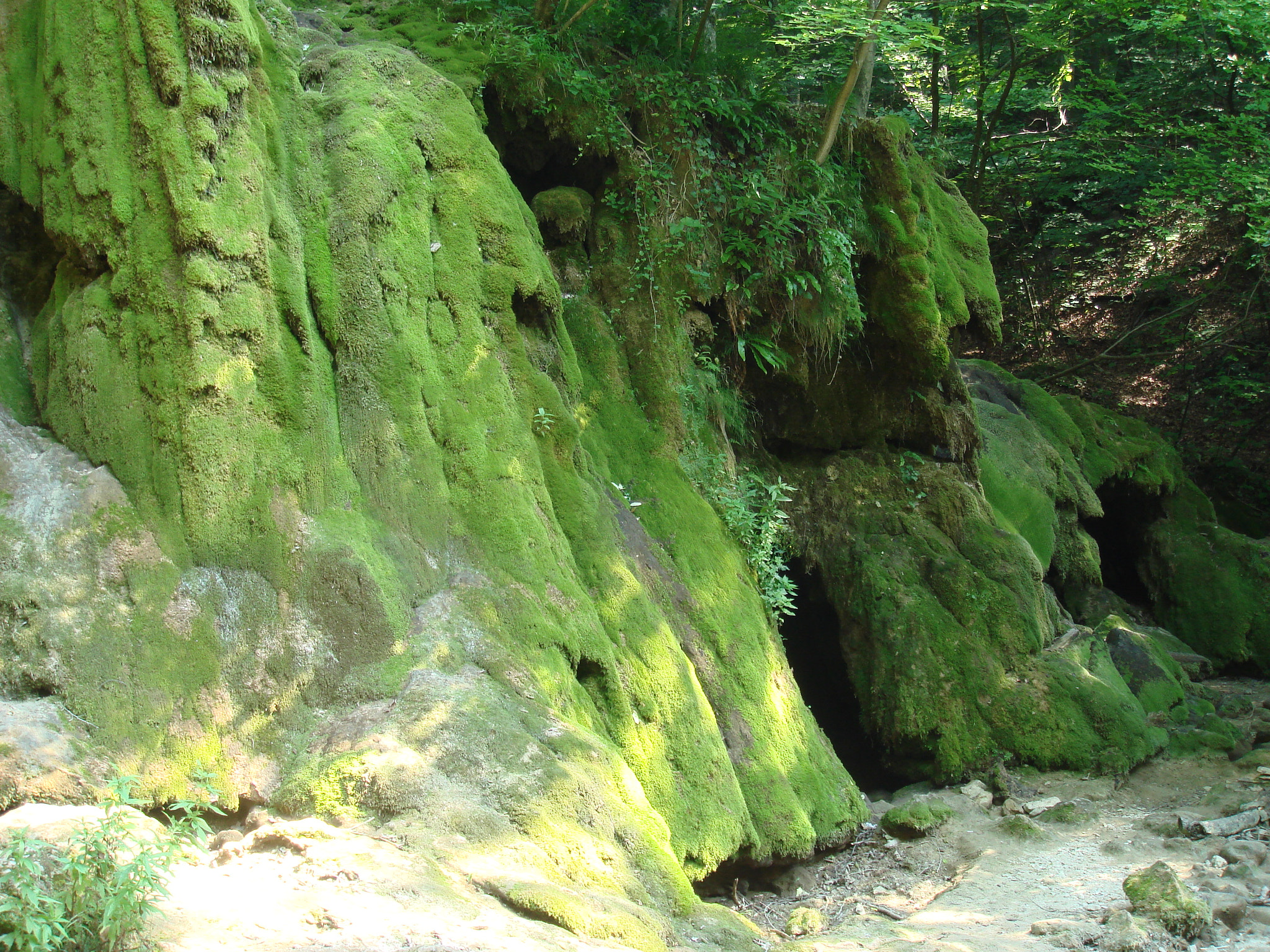 Sony DSC-T50 sample photo. Waterfall dried up photography