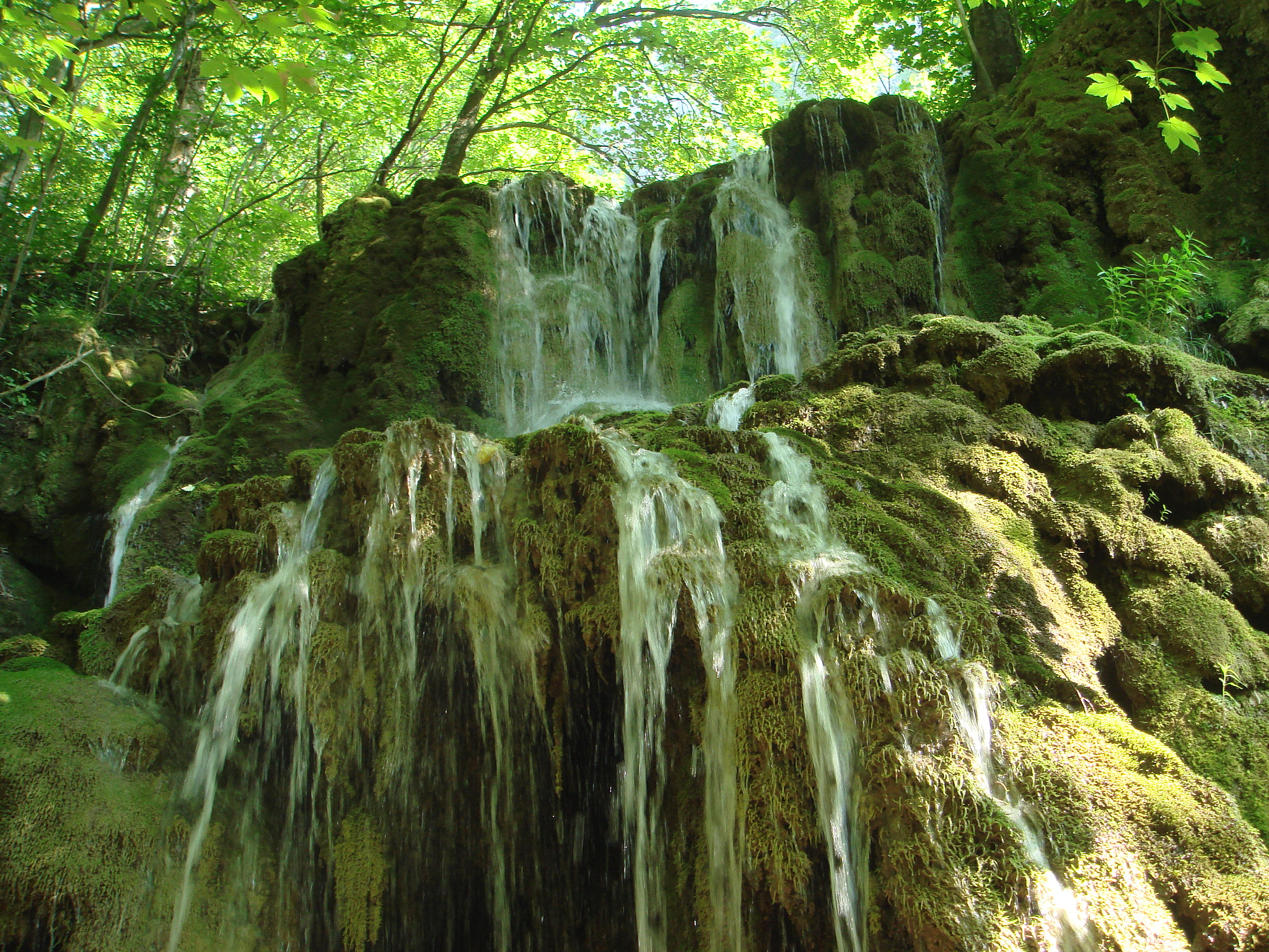 Sony DSC-T50 sample photo. Waterfall photography