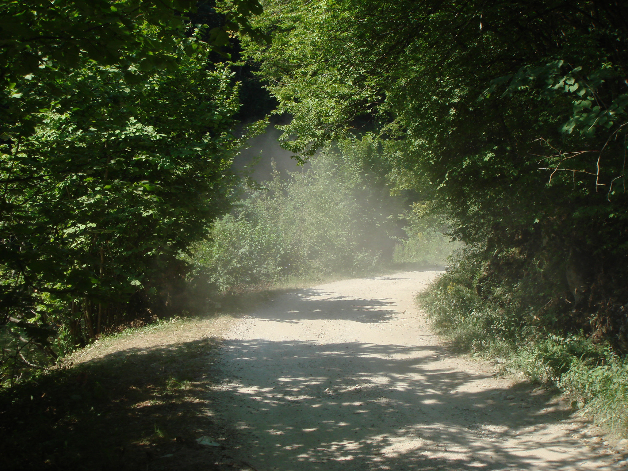 Sony DSC-T50 sample photo. Hit the road jack photography
