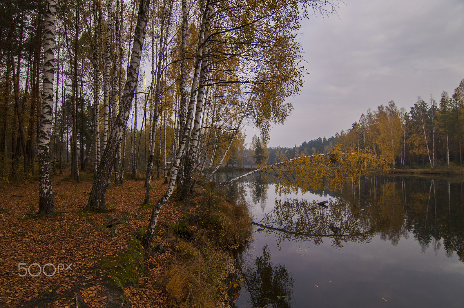 Nikon D70 sample photo. Forest lake 4. photography