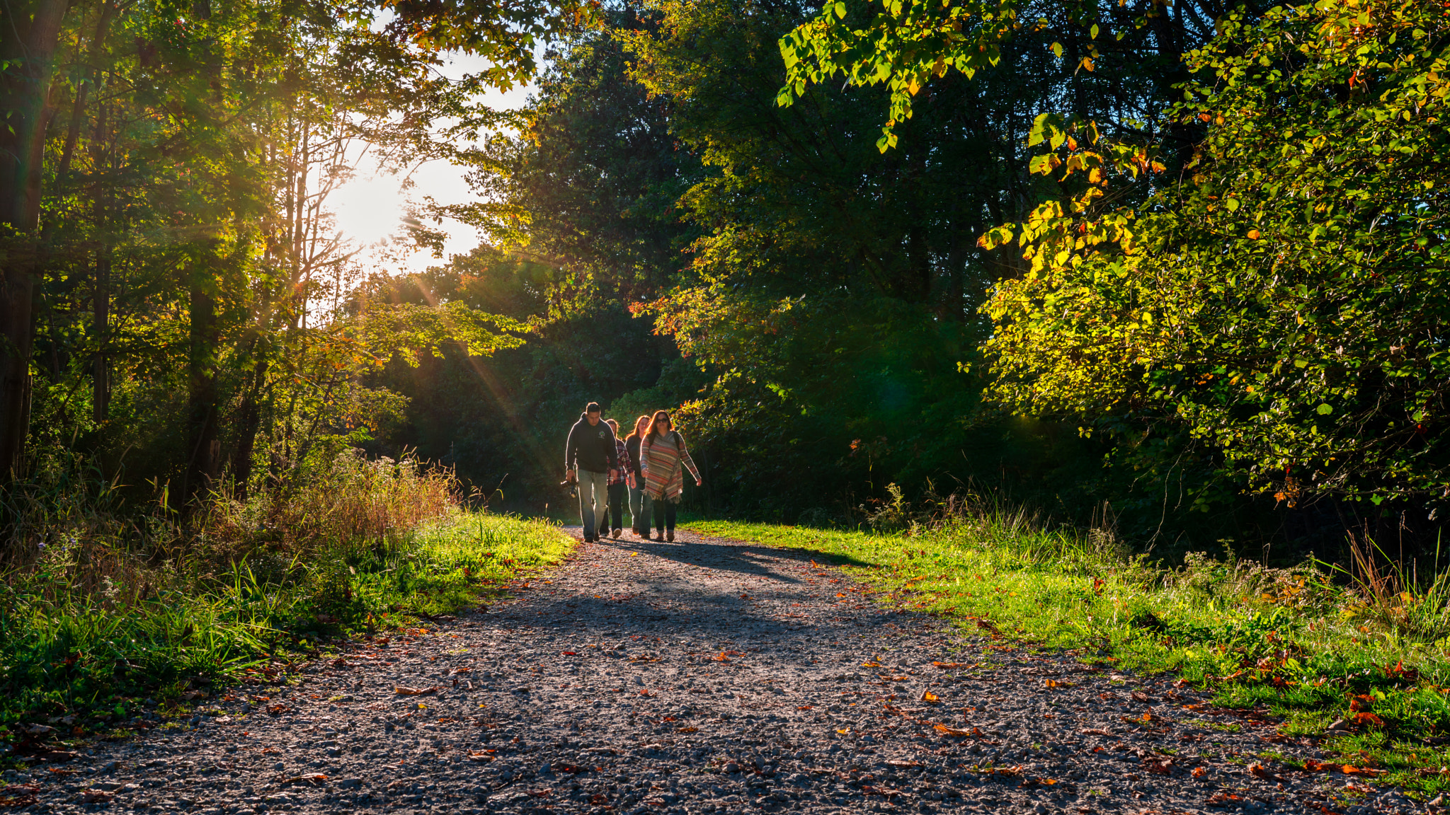 Sony a7R II sample photo. Take a walk photography