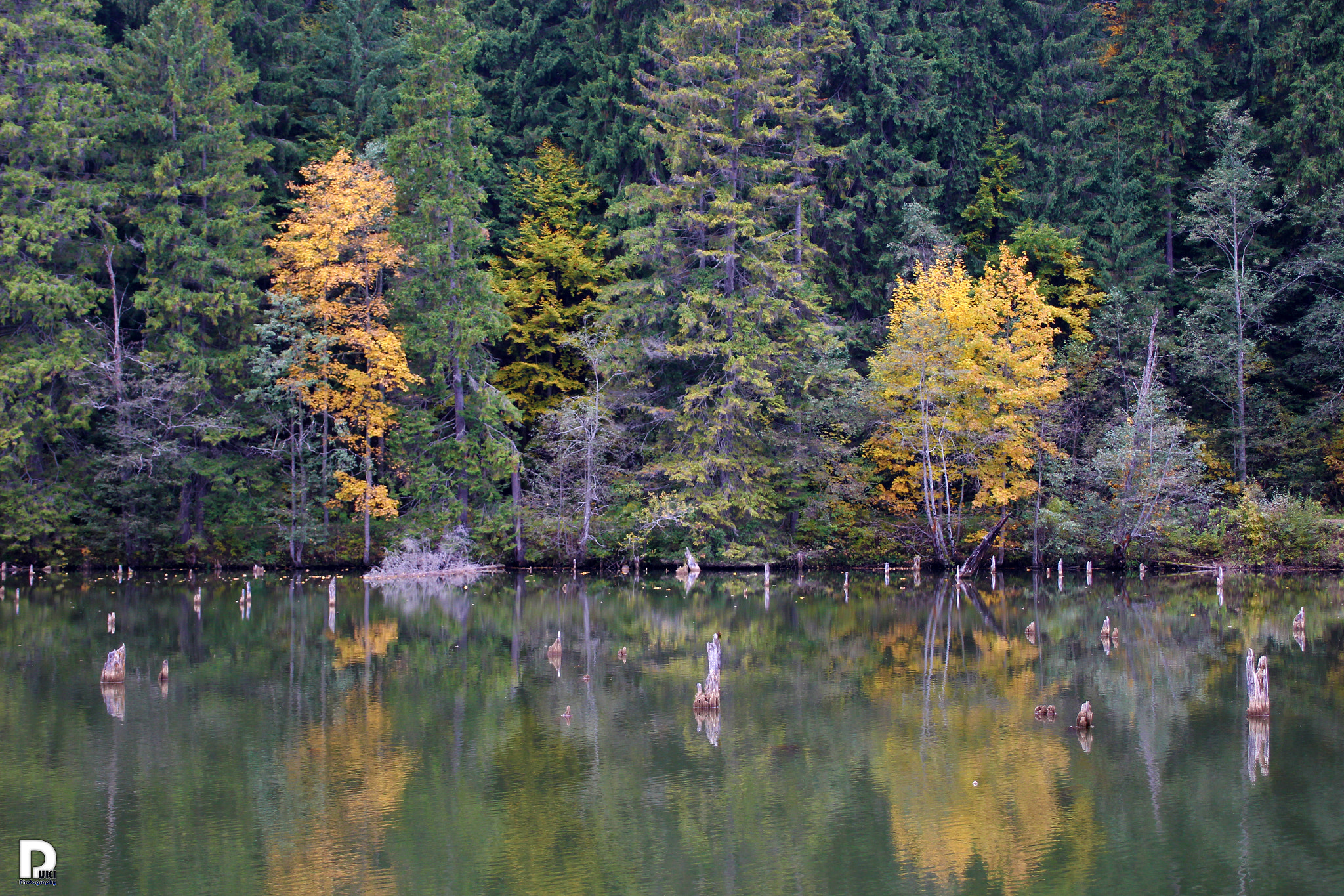 Canon EOS 100D (EOS Rebel SL1 / EOS Kiss X7) + Canon TS-E 90mm F2.8 Tilt-Shift sample photo. Red lake photography