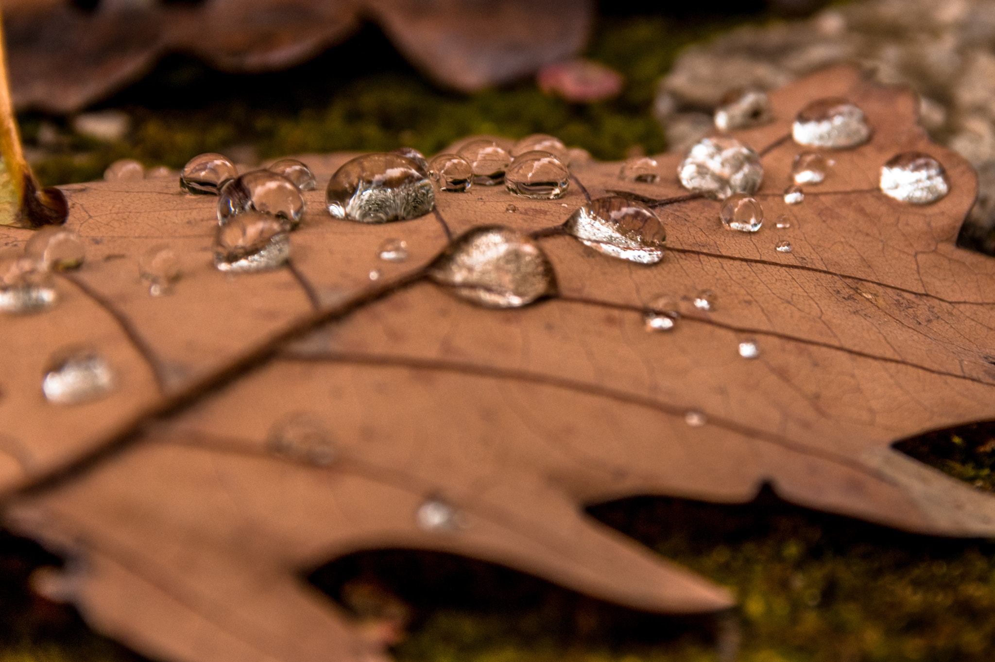 Sigma 18-300mm F3.5-6.3 DC Macro HSM sample photo. Wassertropfen photography