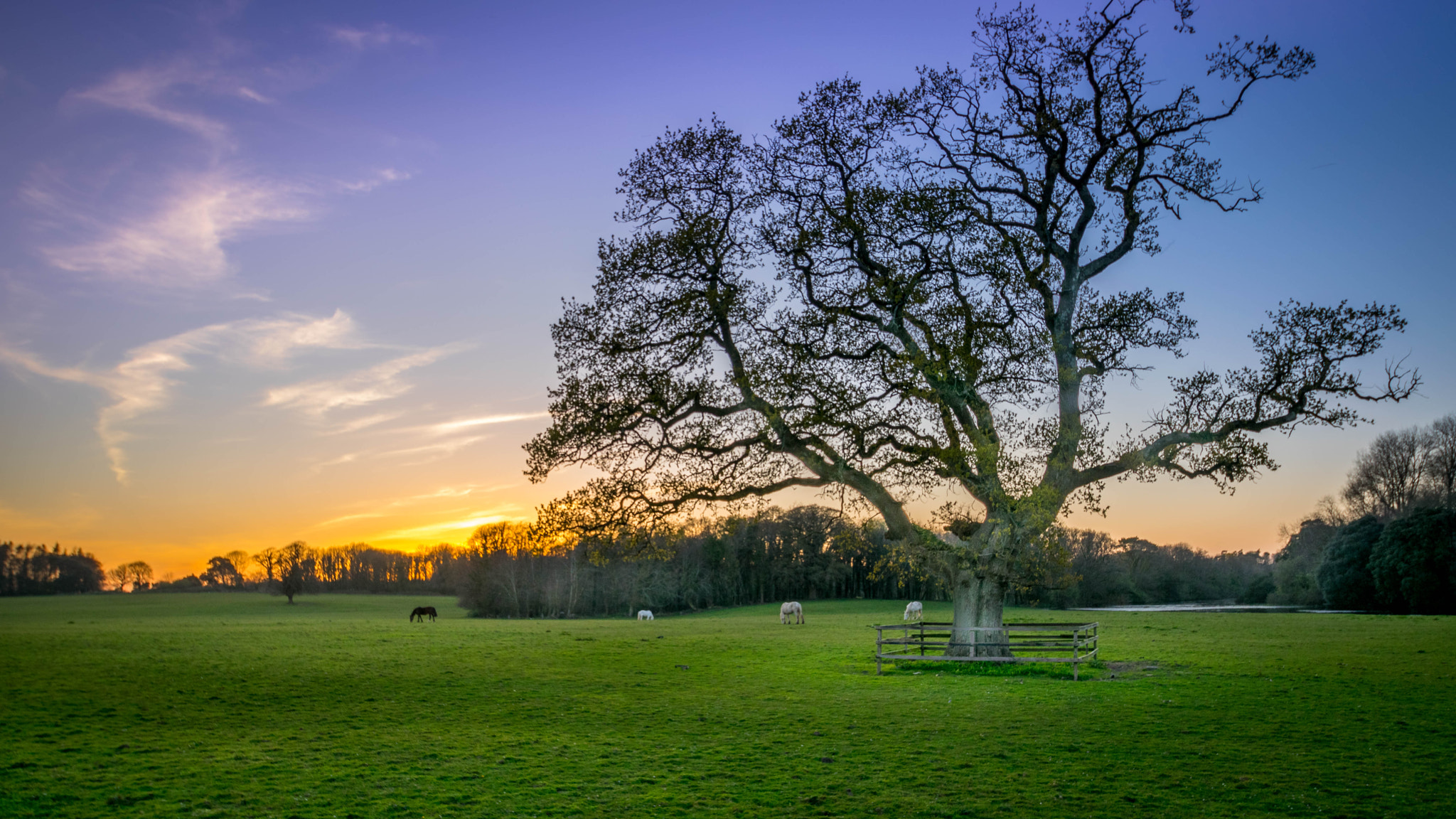 Nikon D5300 + Tamron SP AF 10-24mm F3.5-4.5 Di II LD Aspherical (IF) sample photo. Dsc photography