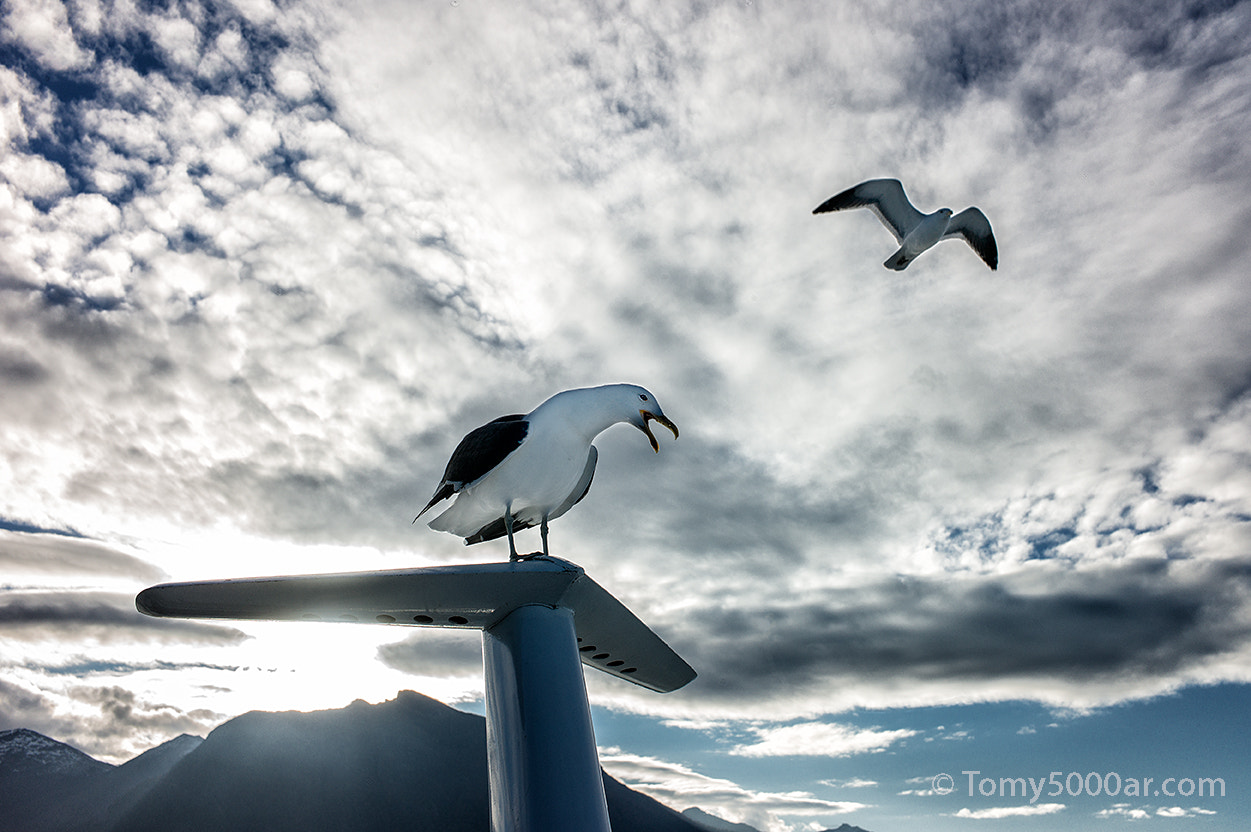 Leica M9 + Leica Summicron-M 35mm F2 ASPH sample photo. Cs photography