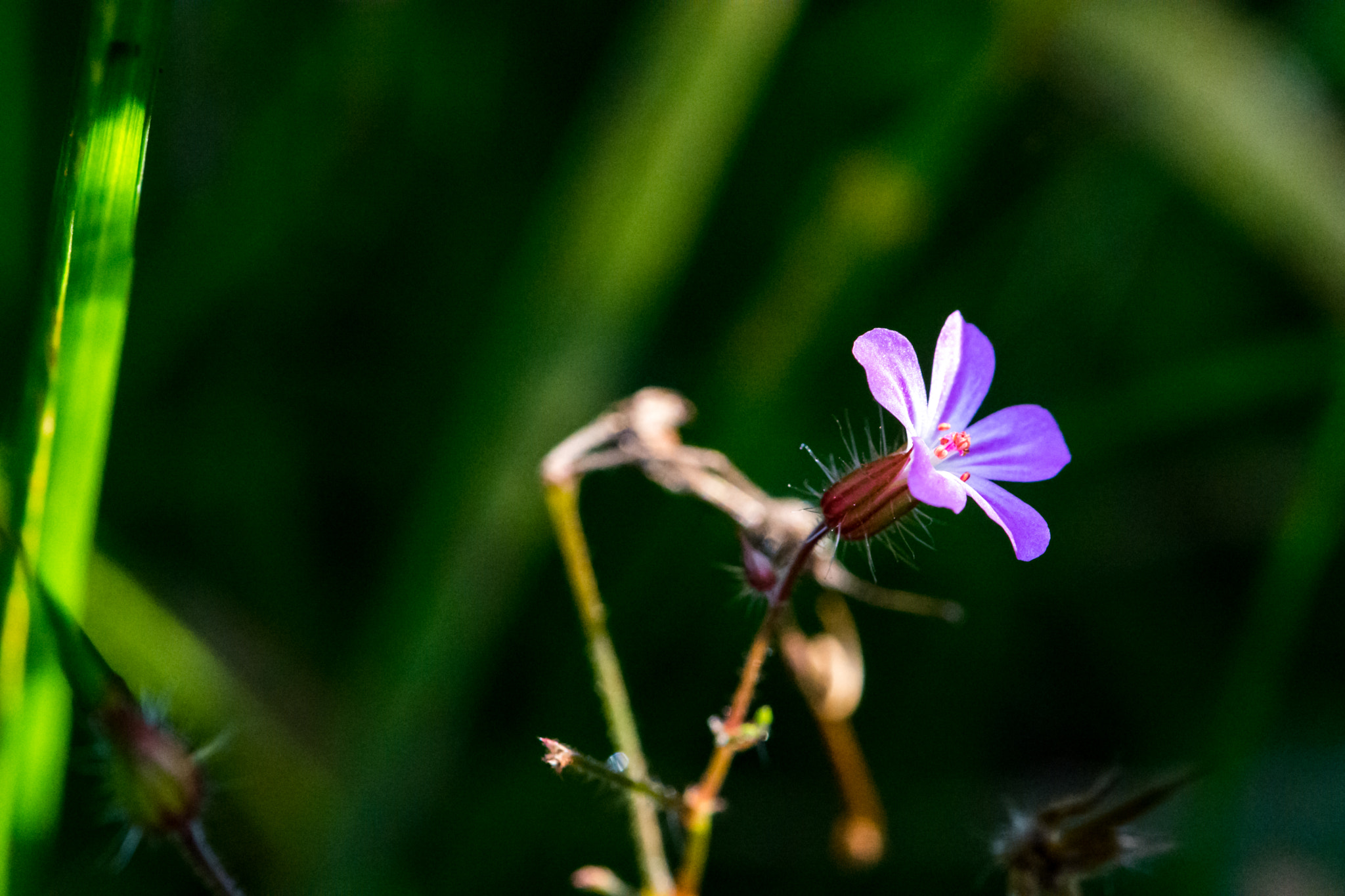 Nikon AF-S DX Micro-Nikkor 85mm F3.5G ED VR sample photo. Little one photography