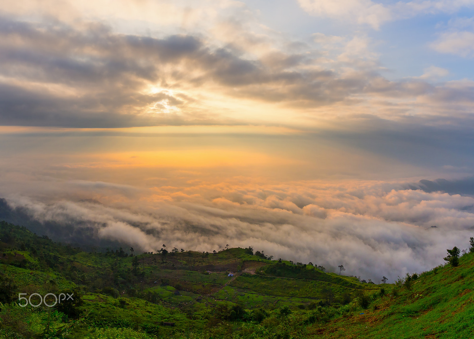 Panasonic Lumix G X Vario 12-35mm F2.8 ASPH Power OIS sample photo. Foggy sunrise morning in the mountains, sunrise / phu tubberk national park phetchabun province... photography