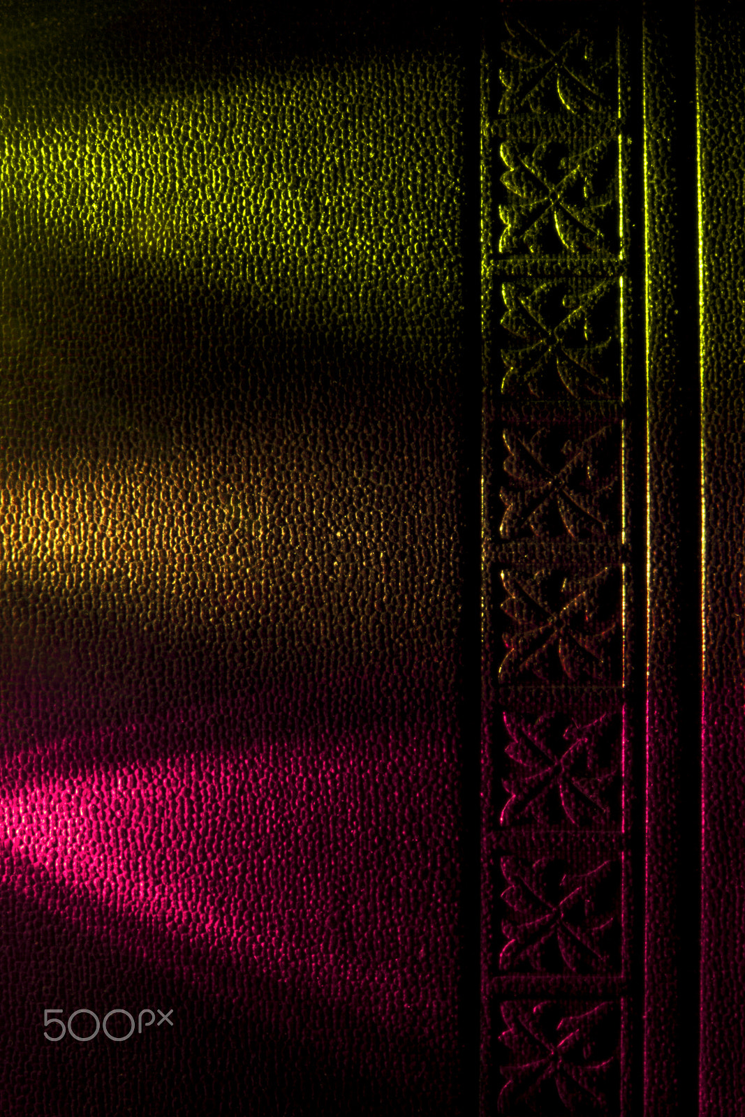 Nikon D500 sample photo. Binder photography
