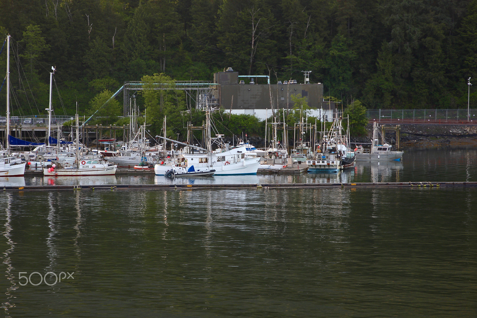 Canon EOS 550D (EOS Rebel T2i / EOS Kiss X4) sample photo. Harbor prince rupert 2 photography