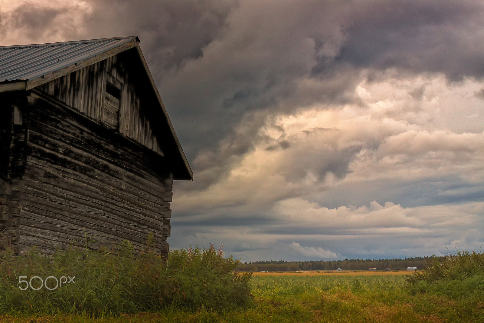 Canon EOS 50D + Canon EF 40mm F2.8 STM sample photo. Storm rising on the summer fields photography