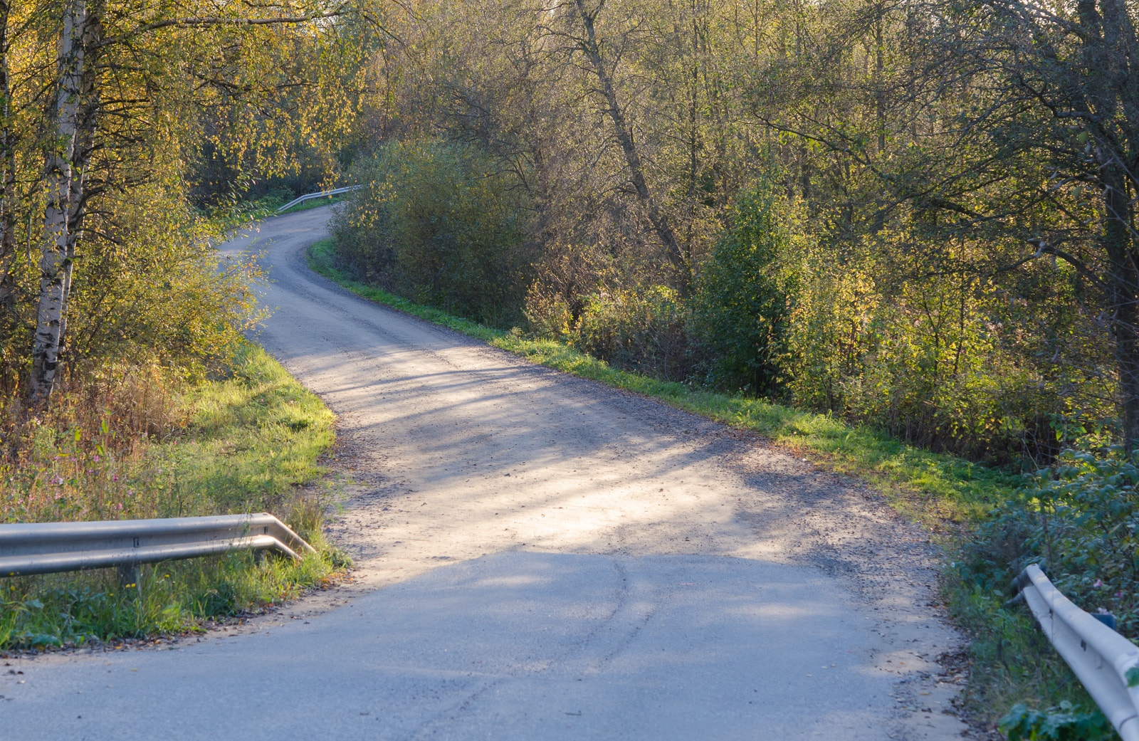 Nikon AF-S Micro-Nikkor 60mm F2.8G ED sample photo. Autumn road photography