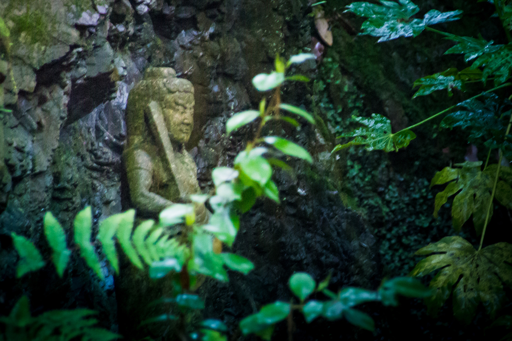 Sigma 18-250mm F3.5-6.3 DC OS HSM sample photo. Buddha statue photography