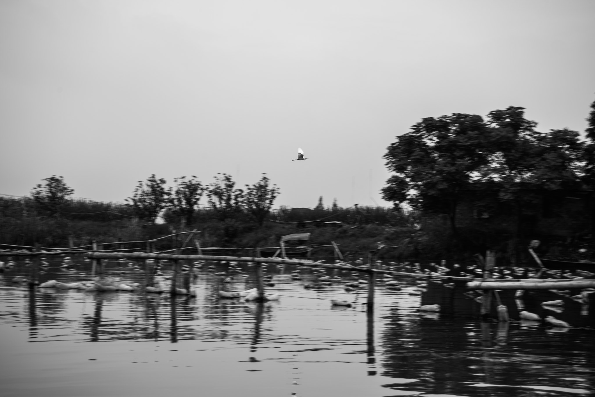 Sony a7R II + Sony FE 28-70mm F3.5-5.6 OSS sample photo. Fly photography