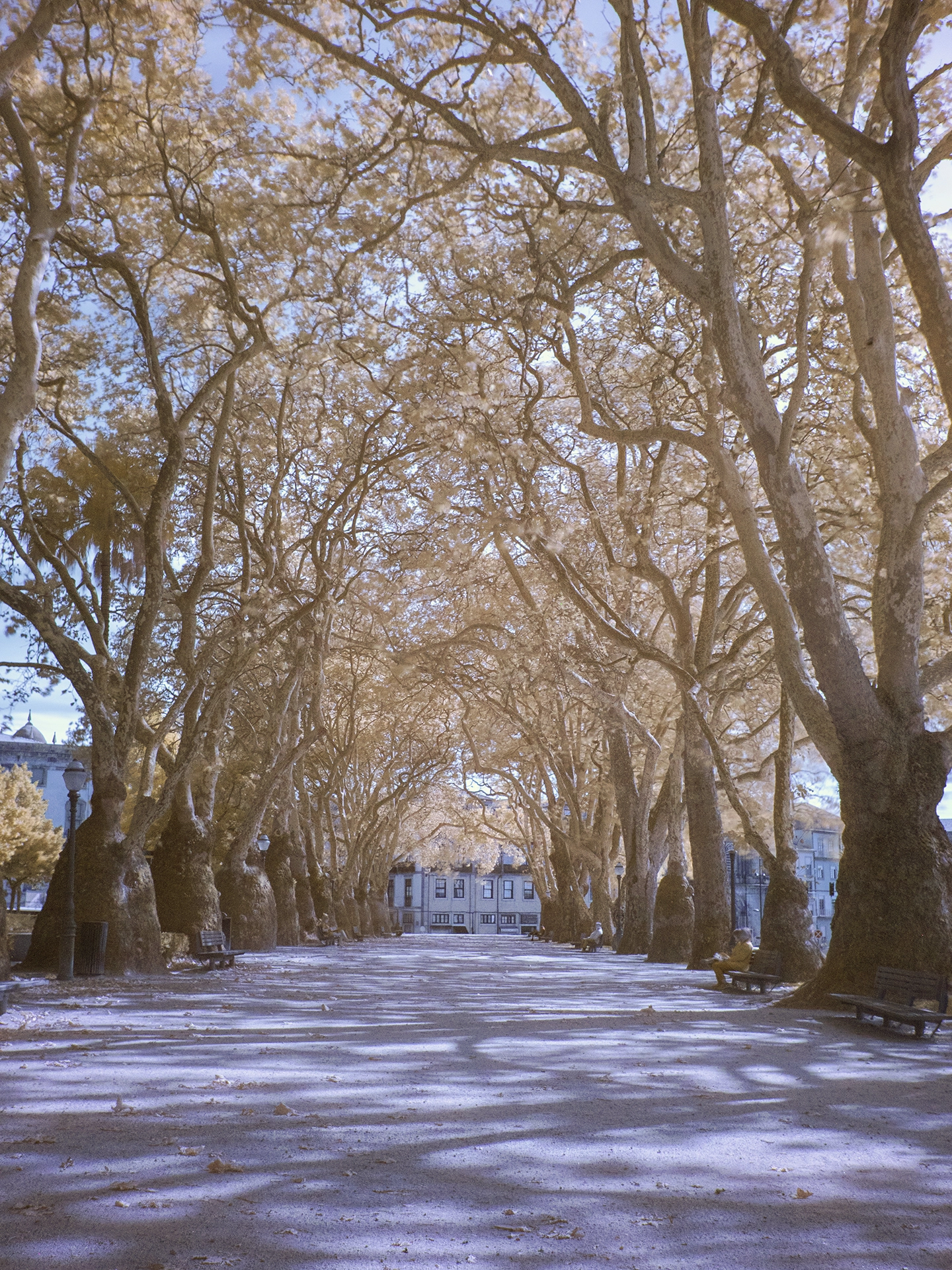 Panasonic Lumix DMC-GX8 sample photo. Porto_infrared4 photography