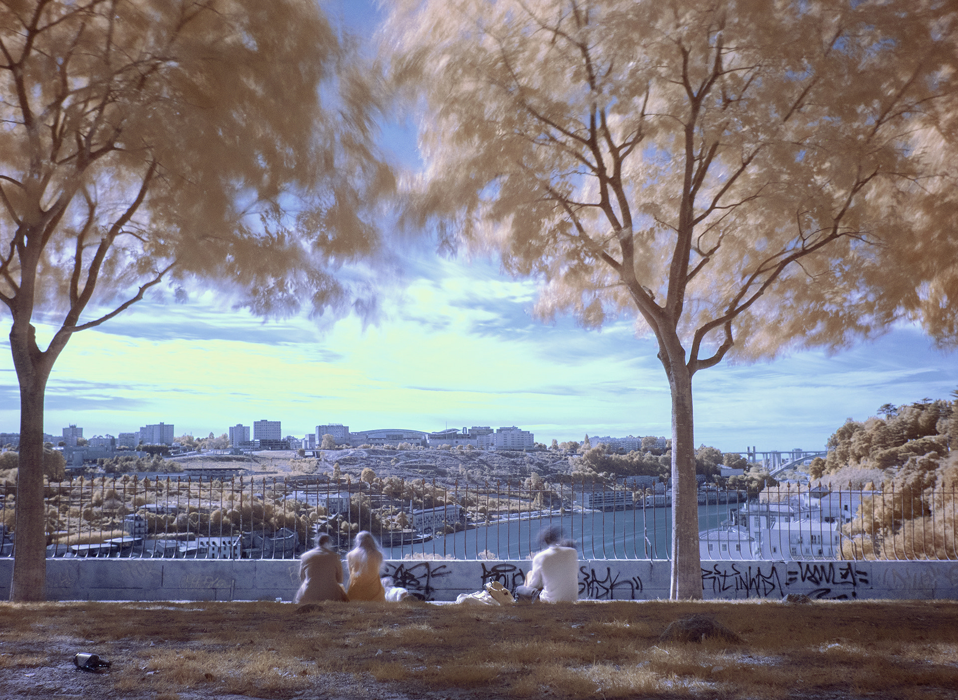 Panasonic Lumix DMC-GX8 + Panasonic Lumix G 20mm F1.7 ASPH sample photo. Porto_infrared5 photography
