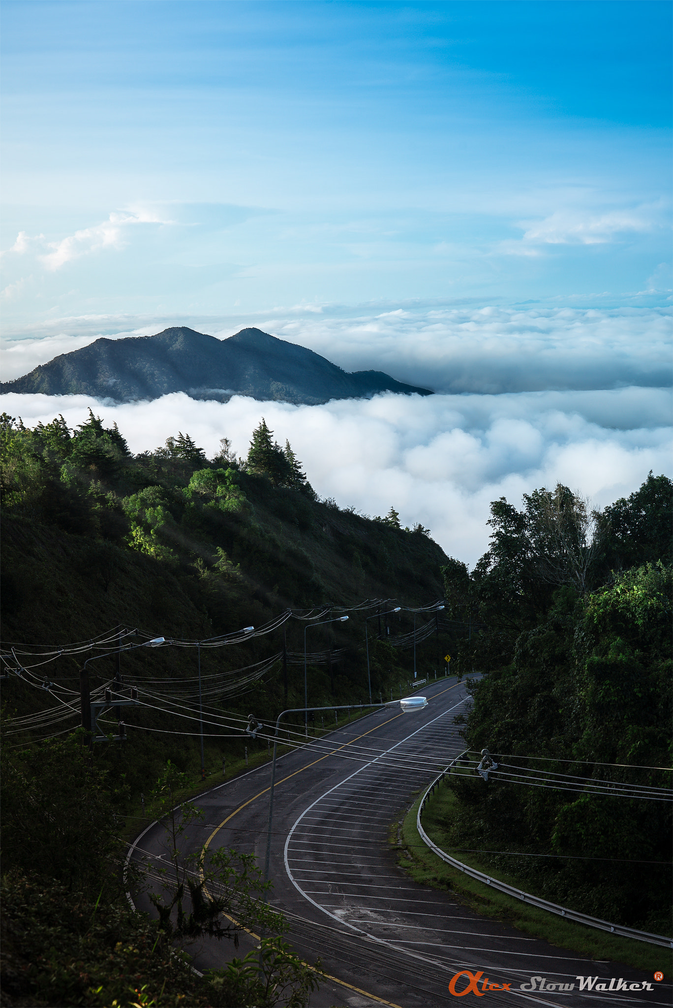 Sony a7S + Sony FE 70-200mm F4 G OSS sample photo. Doi inthanon chiang mai photography