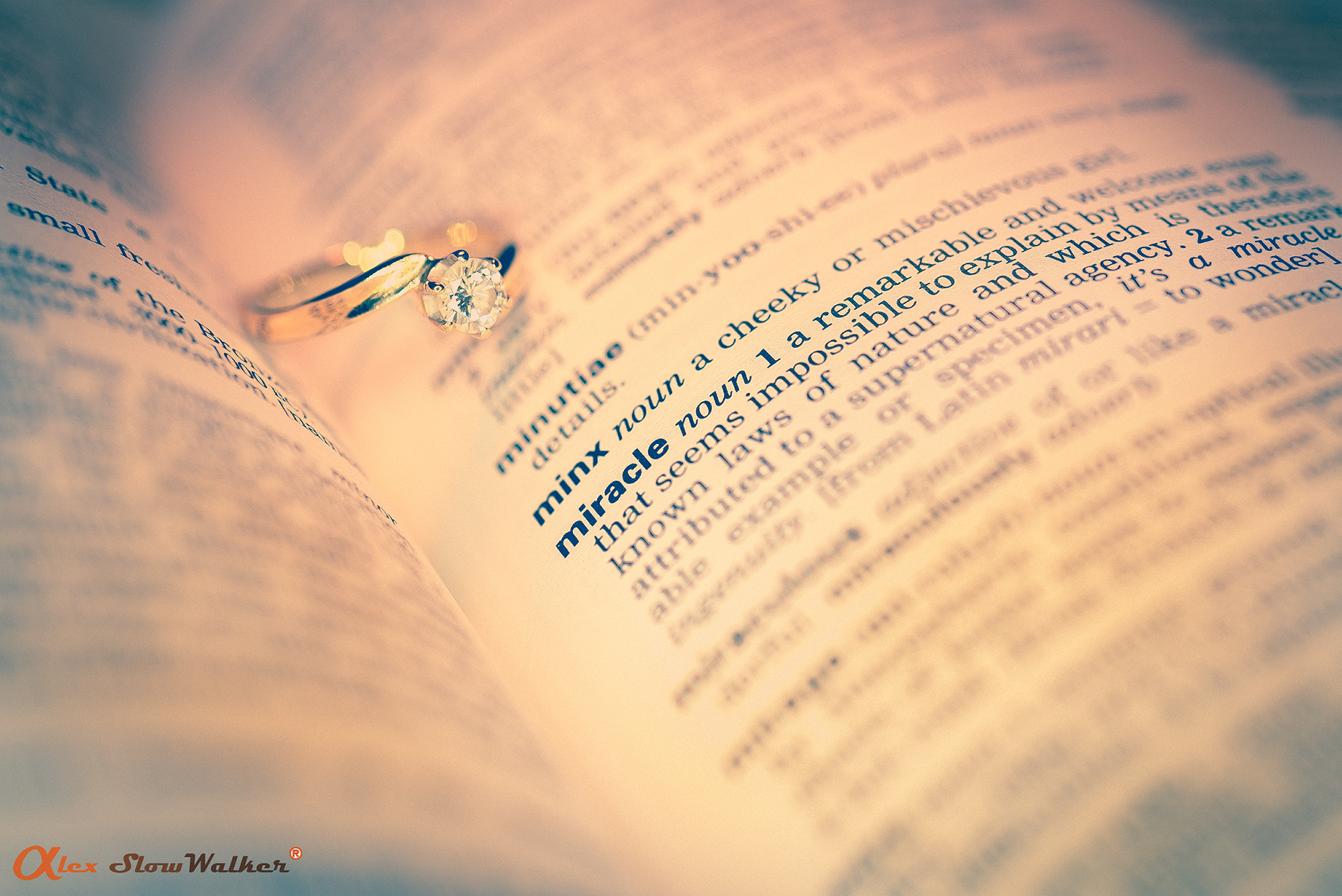 Sony FE 50mm F2.8 Macro sample photo. Miracle photography