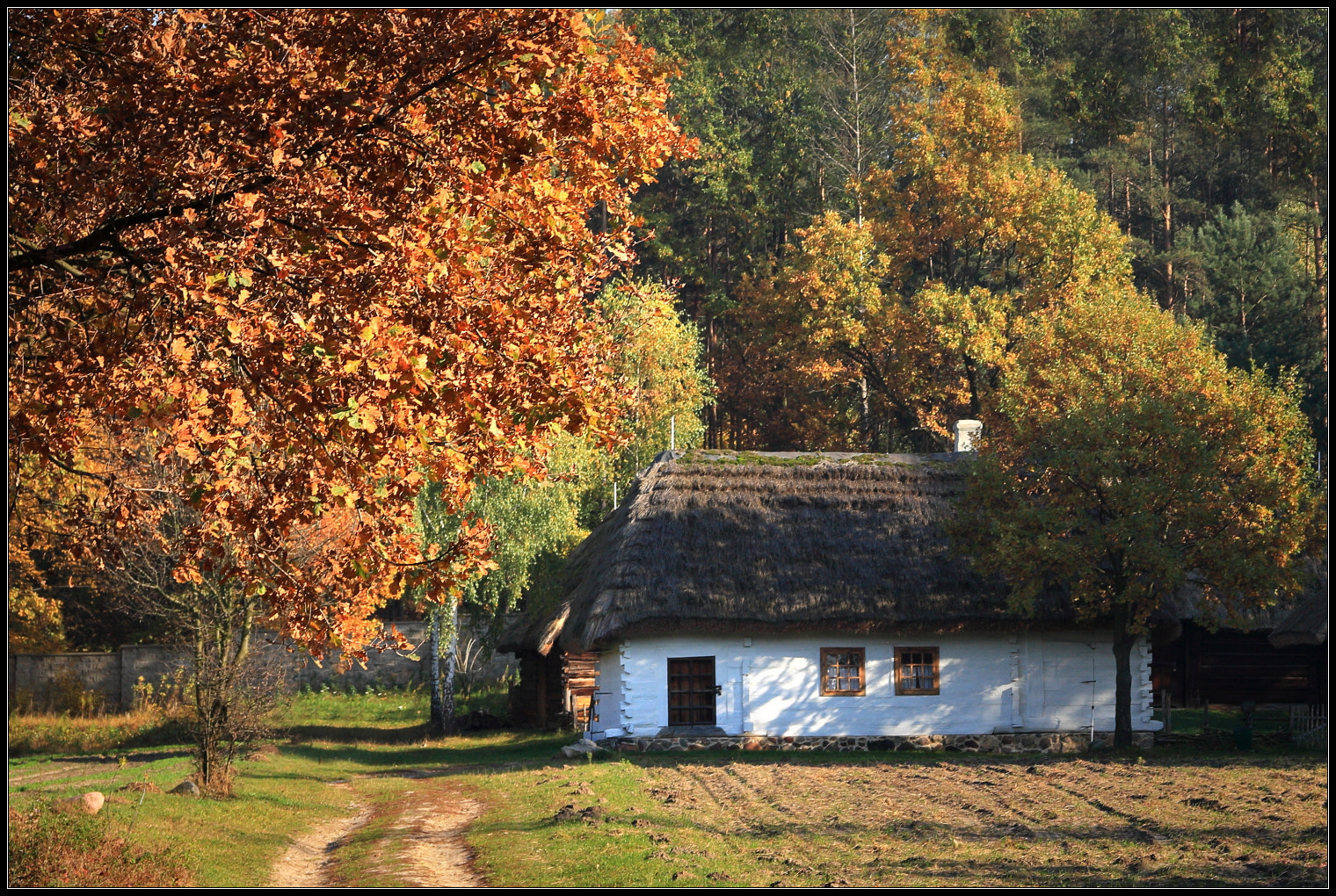Canon EOS 450D (EOS Rebel XSi / EOS Kiss X2) sample photo. Poland/heritage park radom photography