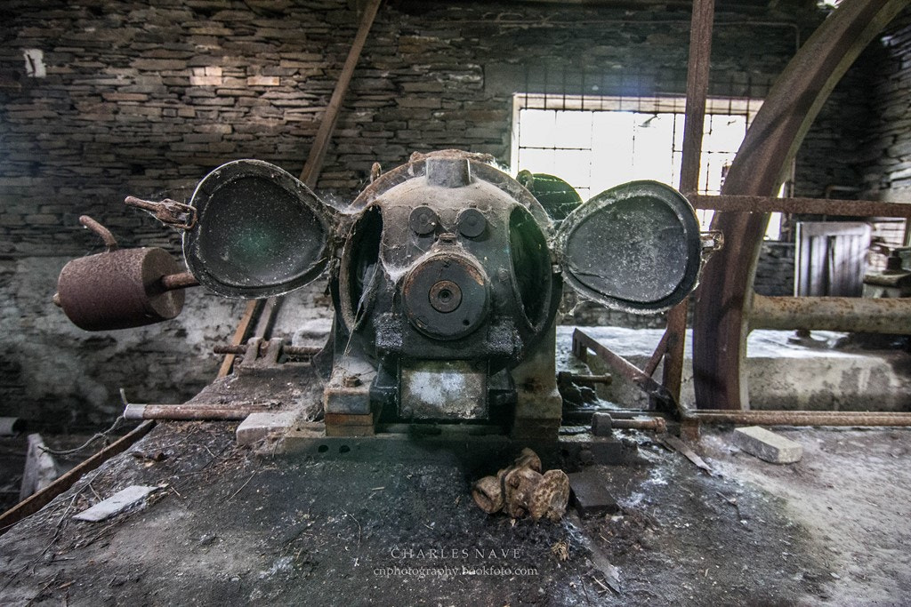 Tokina AT-X Pro 12-24mm F4 (IF) DX sample photo. Martelange photography