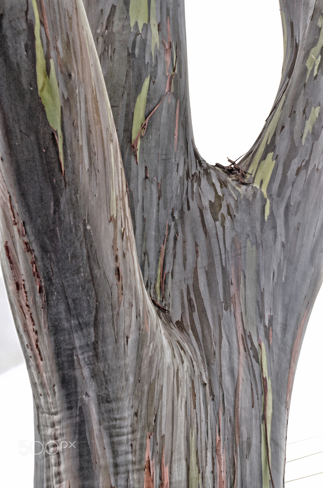 Nikon D7000 + Sigma 18-125mm F3.8-5.6 DC HSM sample photo. Wood photography