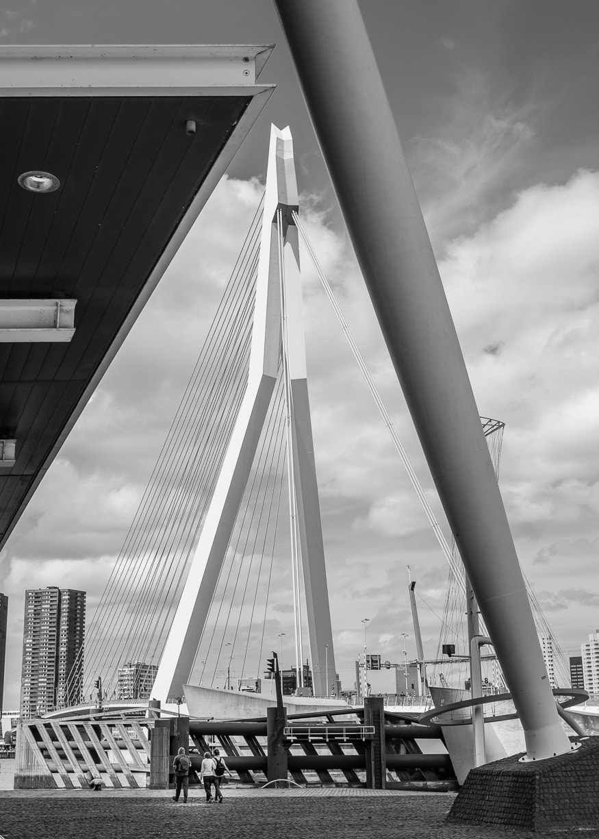 Fujifilm X-E1 sample photo. Erasmusbrug photography