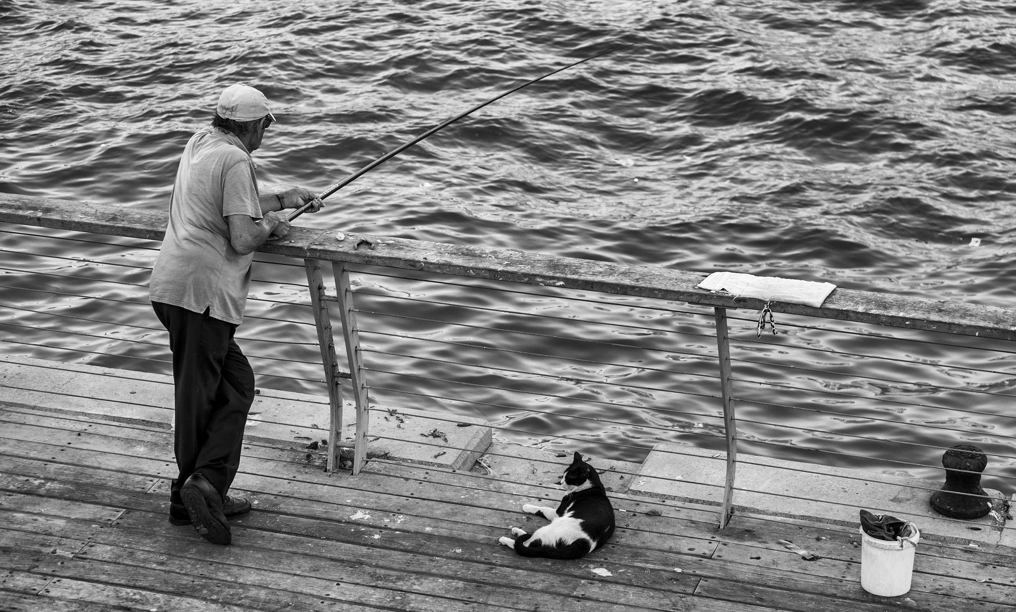 Fujifilm X-E1 + Fujifilm XF 55-200mm F3.5-4.8 R LM OIS sample photo