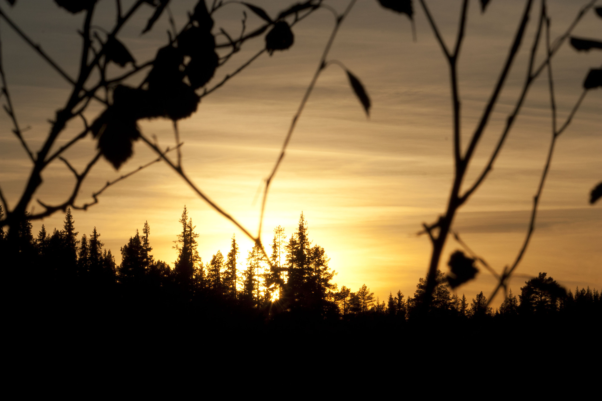 Canon EF-S 55-250mm F4-5.6 IS sample photo. Sunset photography