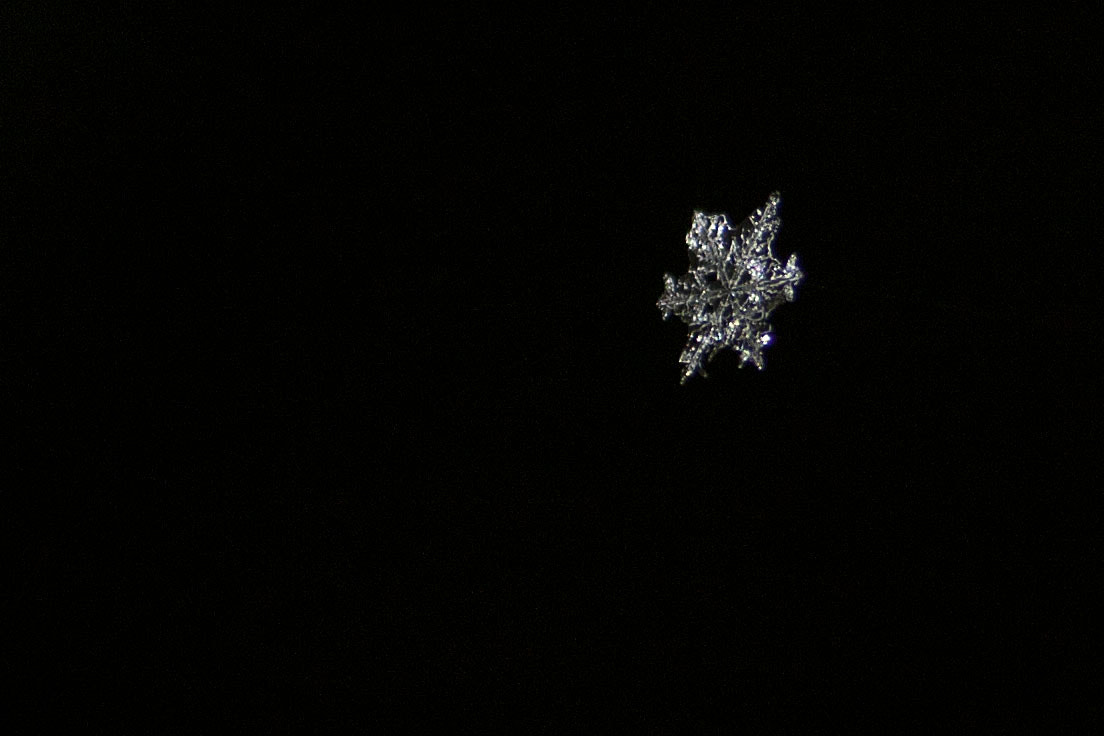 Canon EF-S 55-250mm F4-5.6 IS sample photo. Snow crystal hanging in a spider net photography