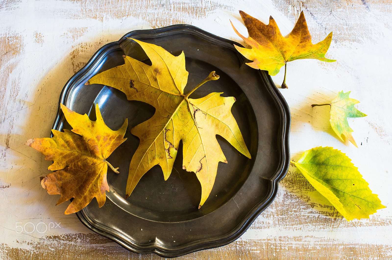 Sony SLT-A55 (SLT-A55V) sample photo. Autumnal table setting photography