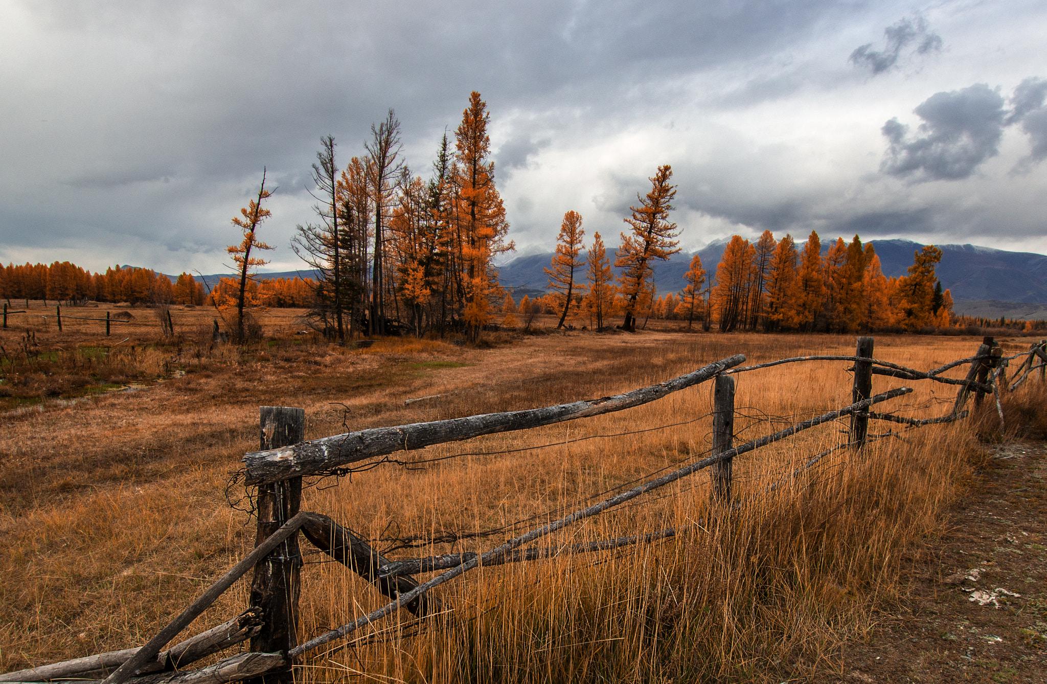 Sony SLT-A77 + Sigma 10-20mm F3.5 EX DC HSM sample photo. Walk through the kurai steppe photography