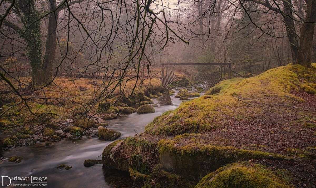 Nikon D700 + Nikon PC-E Nikkor 24mm F3.5D ED Tilt-Shift sample photo. Foggy burrator photography