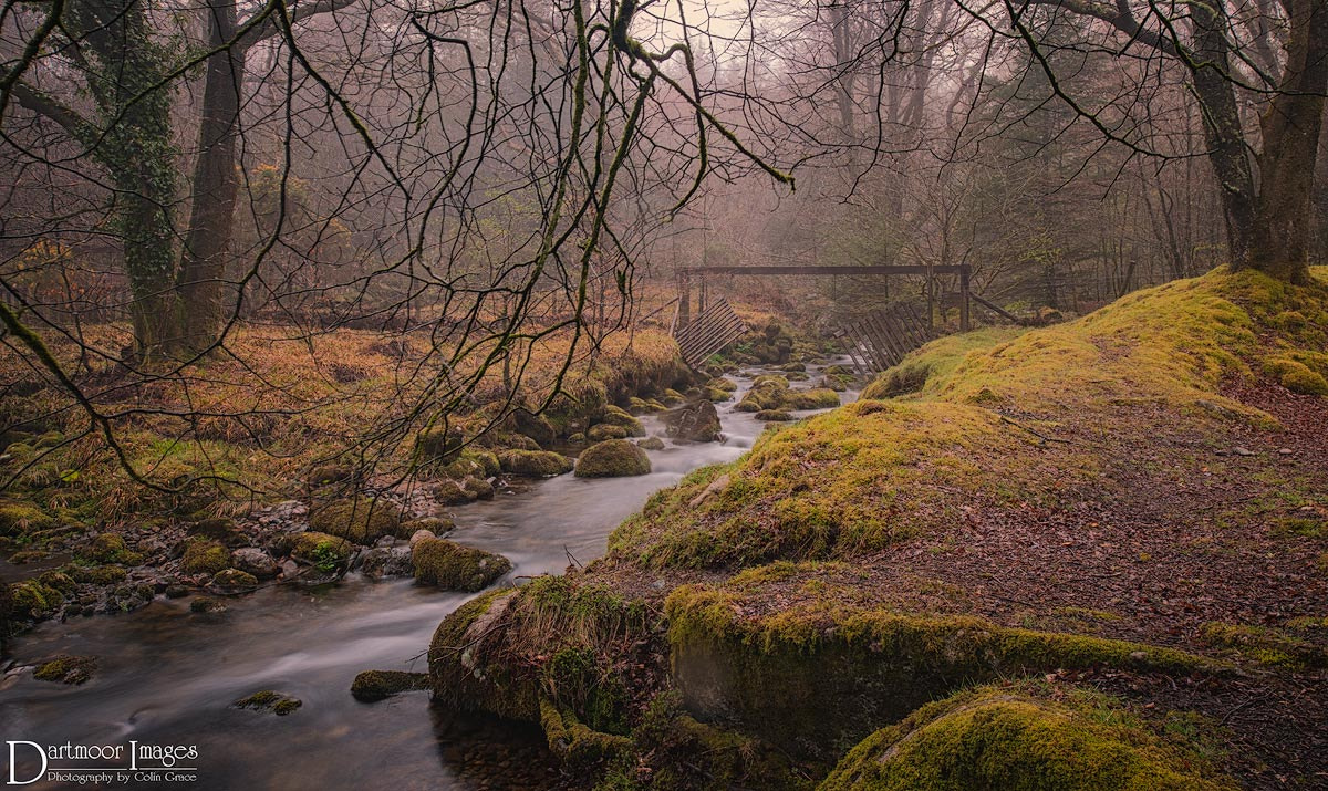 Nikon D700 sample photo. Foggy burrator photography