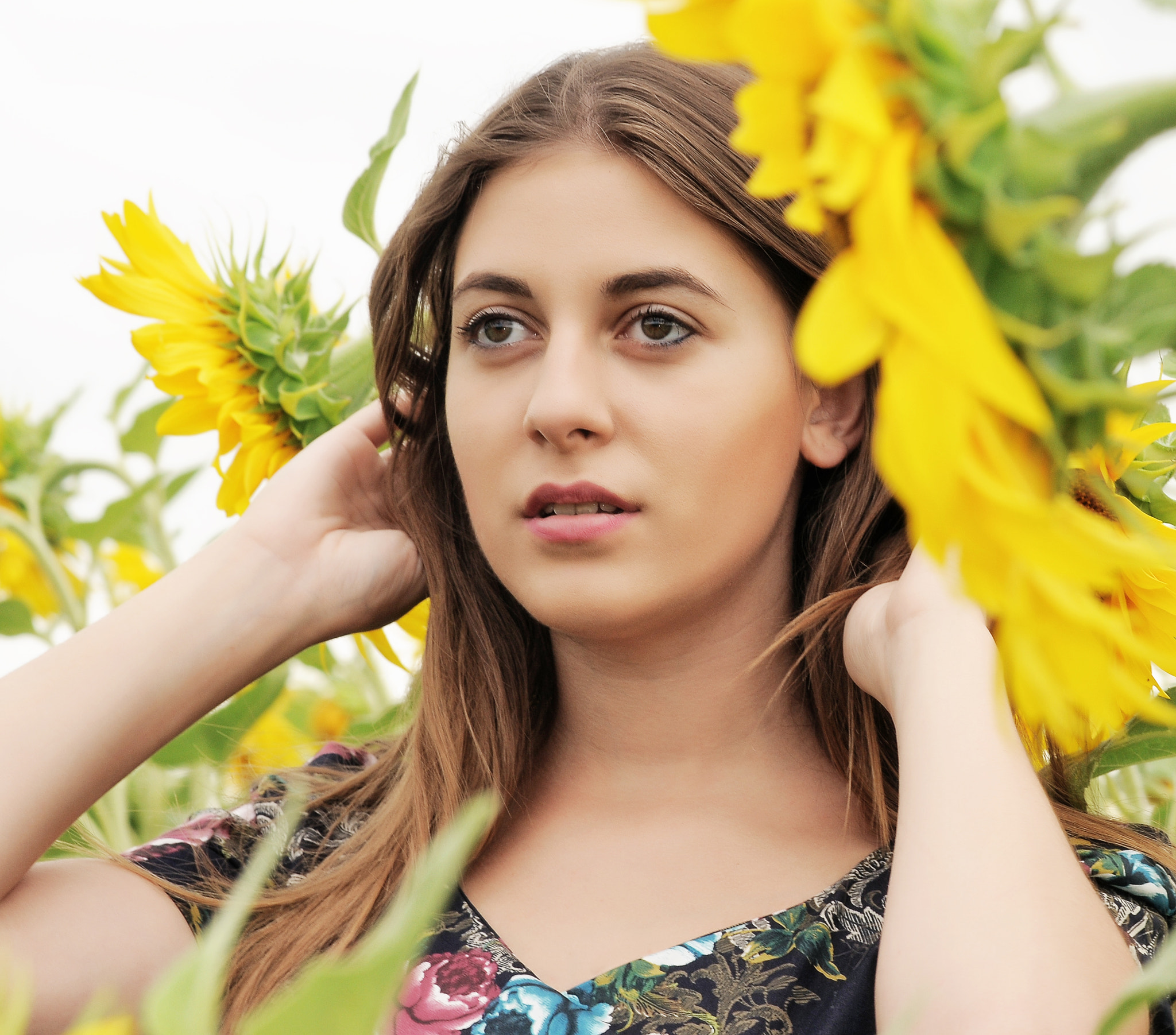 Nikon D300S + Nikon AF-S Nikkor 85mm F1.8G sample photo. Lili - sunflower 01 photography