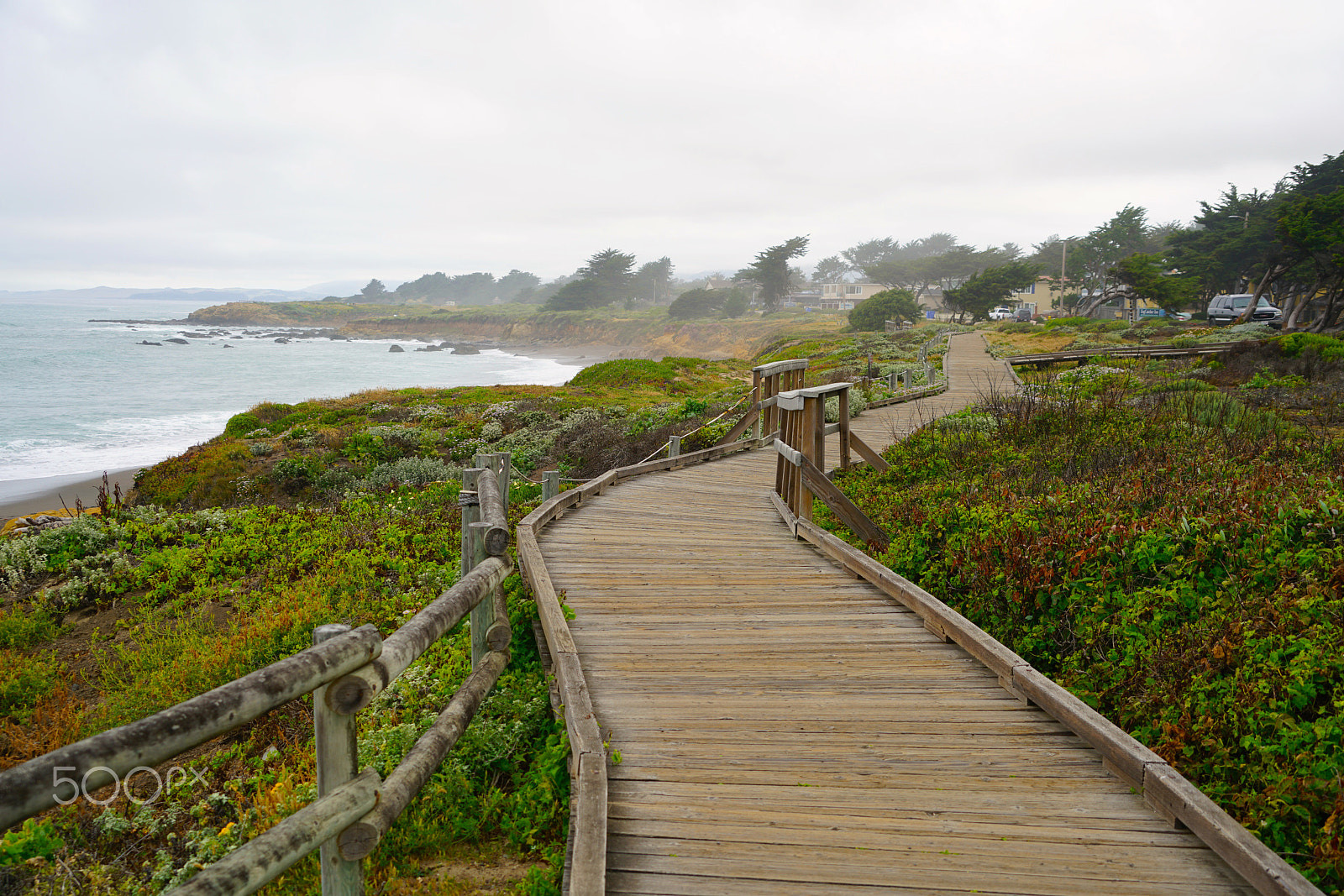 Sony FE 24-240mm F3.5-6.3 OSS sample photo. Pacific pathway photography