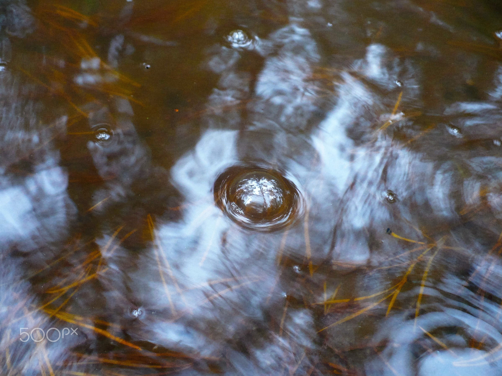 Panasonic DMC-LZ7 sample photo. Bubbles in the water. Пузыри на воде. photography