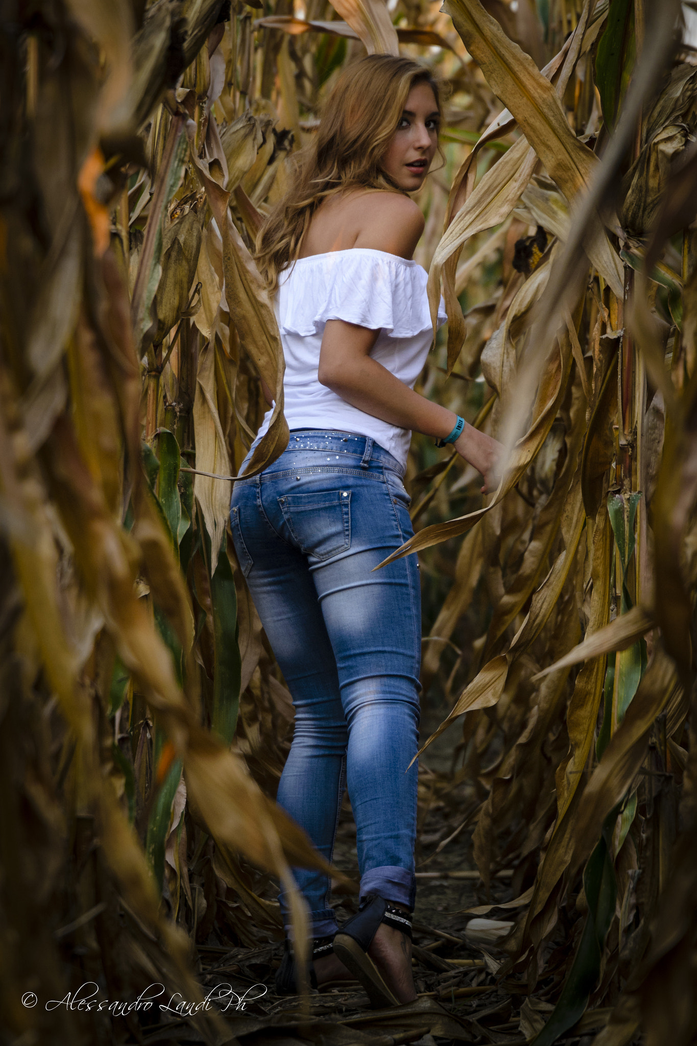 Nikon D3100 + Sigma 24-105mm F4 DG OS HSM Art sample photo. Field #3 photography
